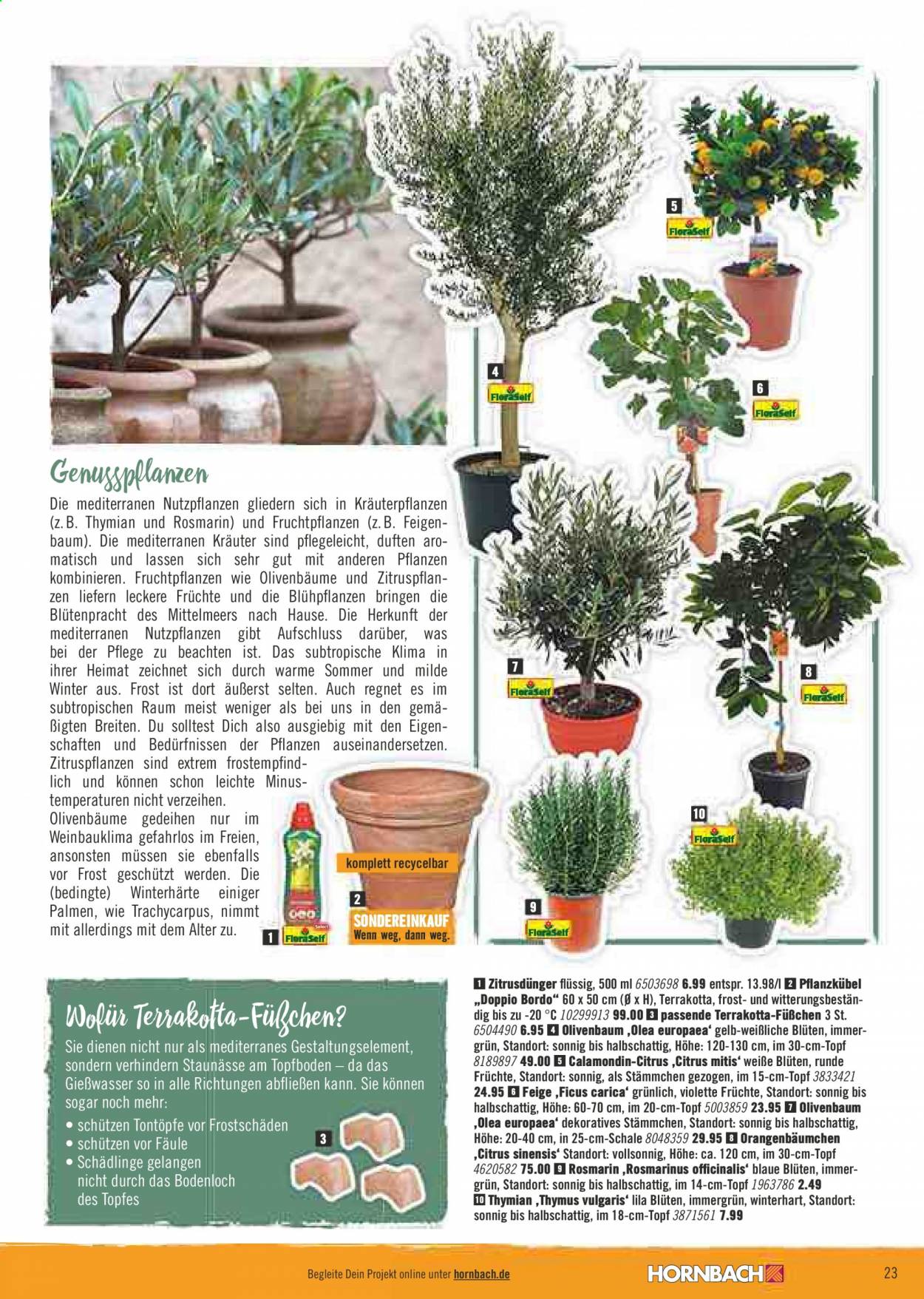 Hornbach Prospekte  - 24.03.2021 - 22.04.2021. Seite 23