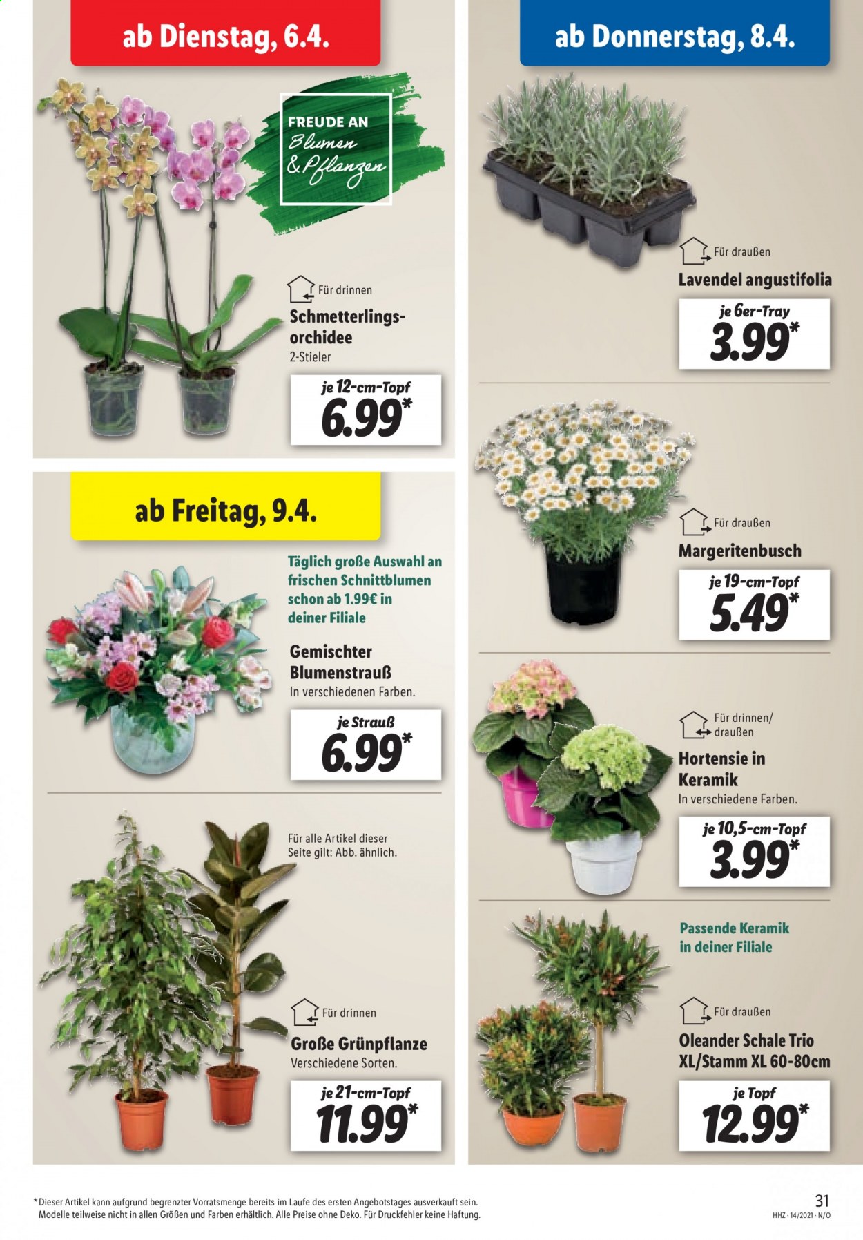 Lidl Prospekte  - 6.04.2021 - 10.04.2021. Seite 31
