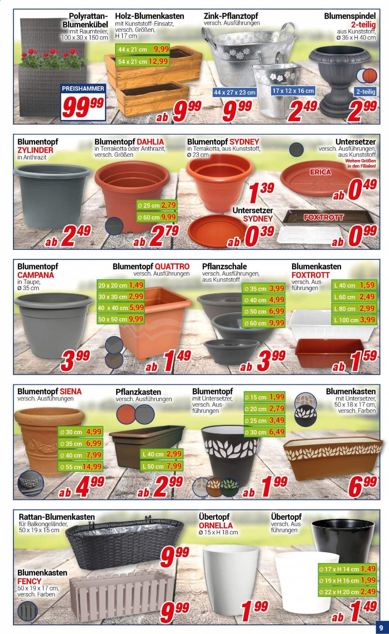 CENTERSHOP Prospekte  - 29.03.2021 - 3.04.2021. Seite 9