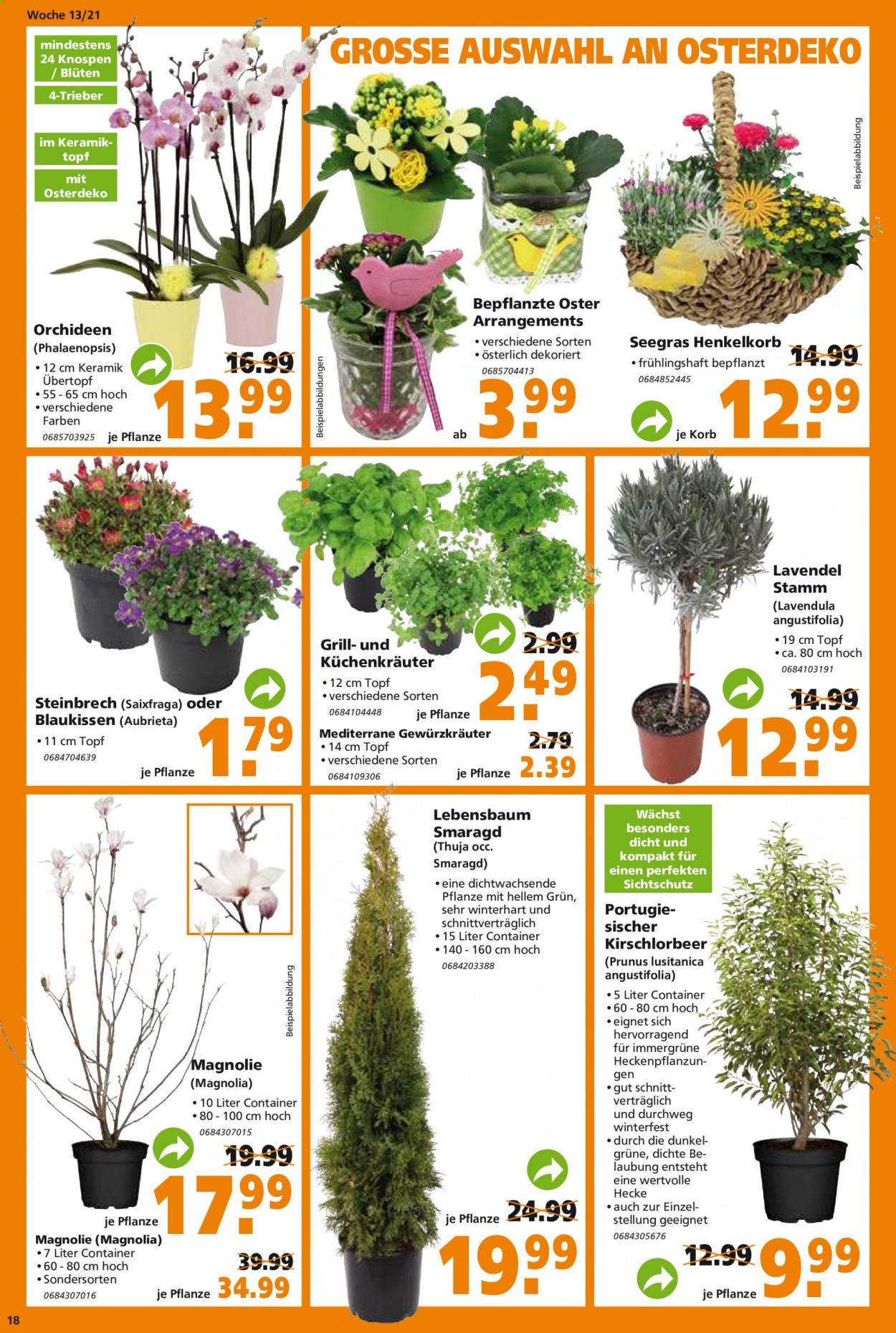 Globus Baumarkt Prospekte  - 29.03.2021 - 3.04.2021. Seite 18