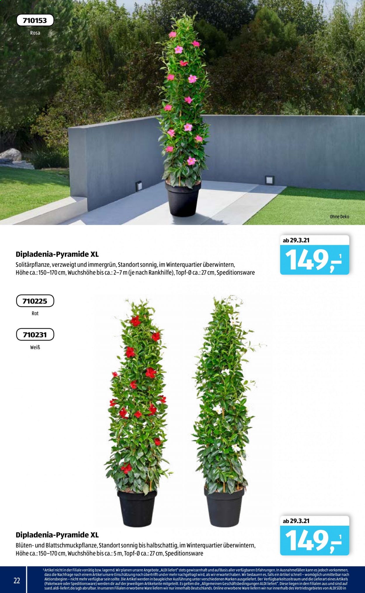 ALDI SÜD Prospekte . Seite 22