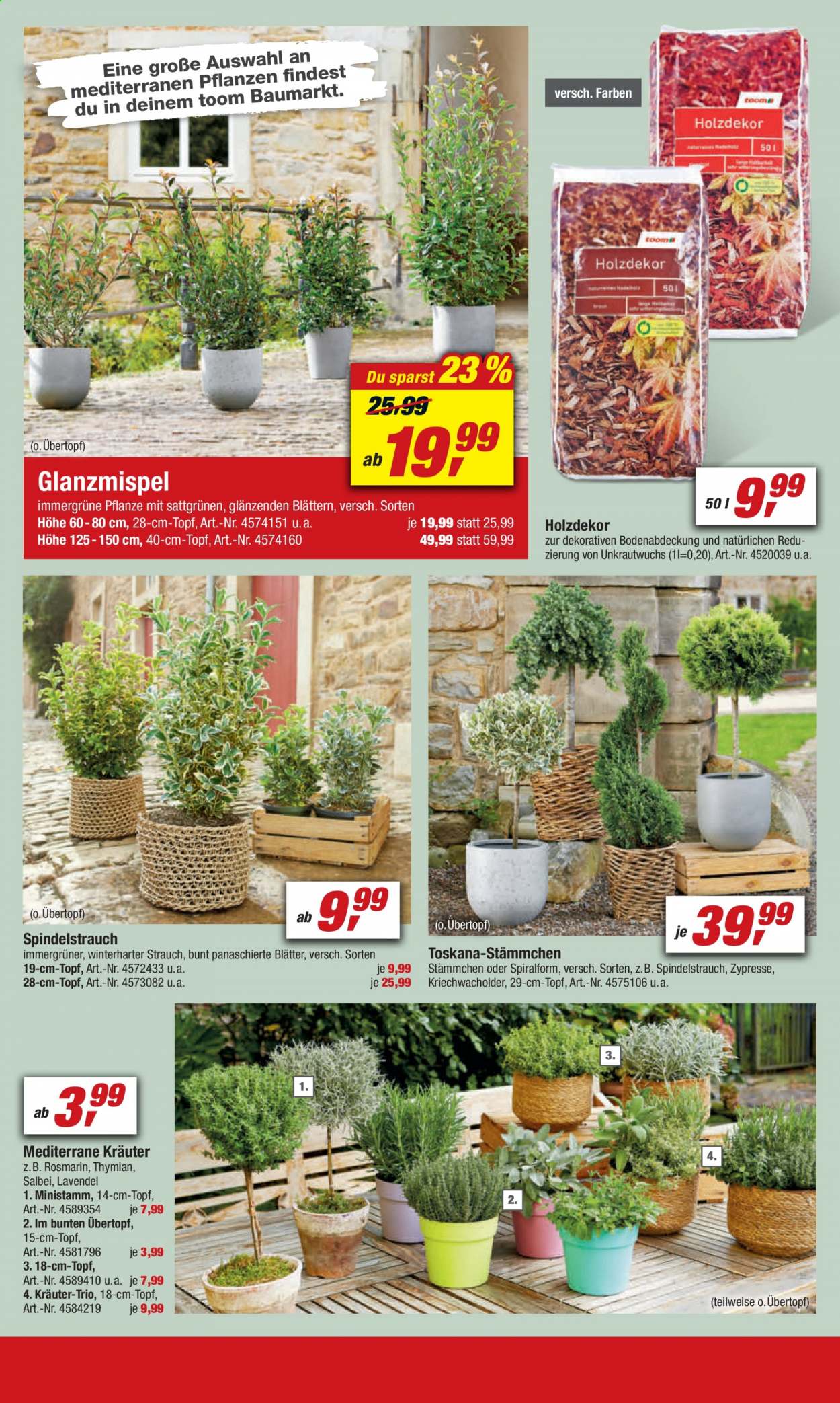 toom Baumarkt Prospekte  - 3.04.2021 - 9.04.2021. Seite 6