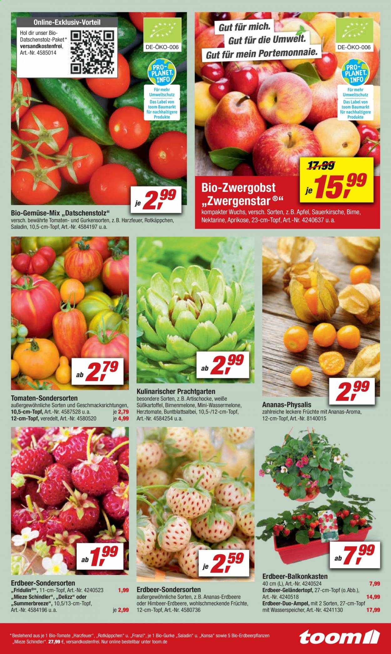thumbnail - Prospekte toom Baumarkt - 10.04.2021 - 16.04.2021 - Produkte in Aktion - Topf, Tomaten, Erdbeeren, Nektarinen. Seite 7.
