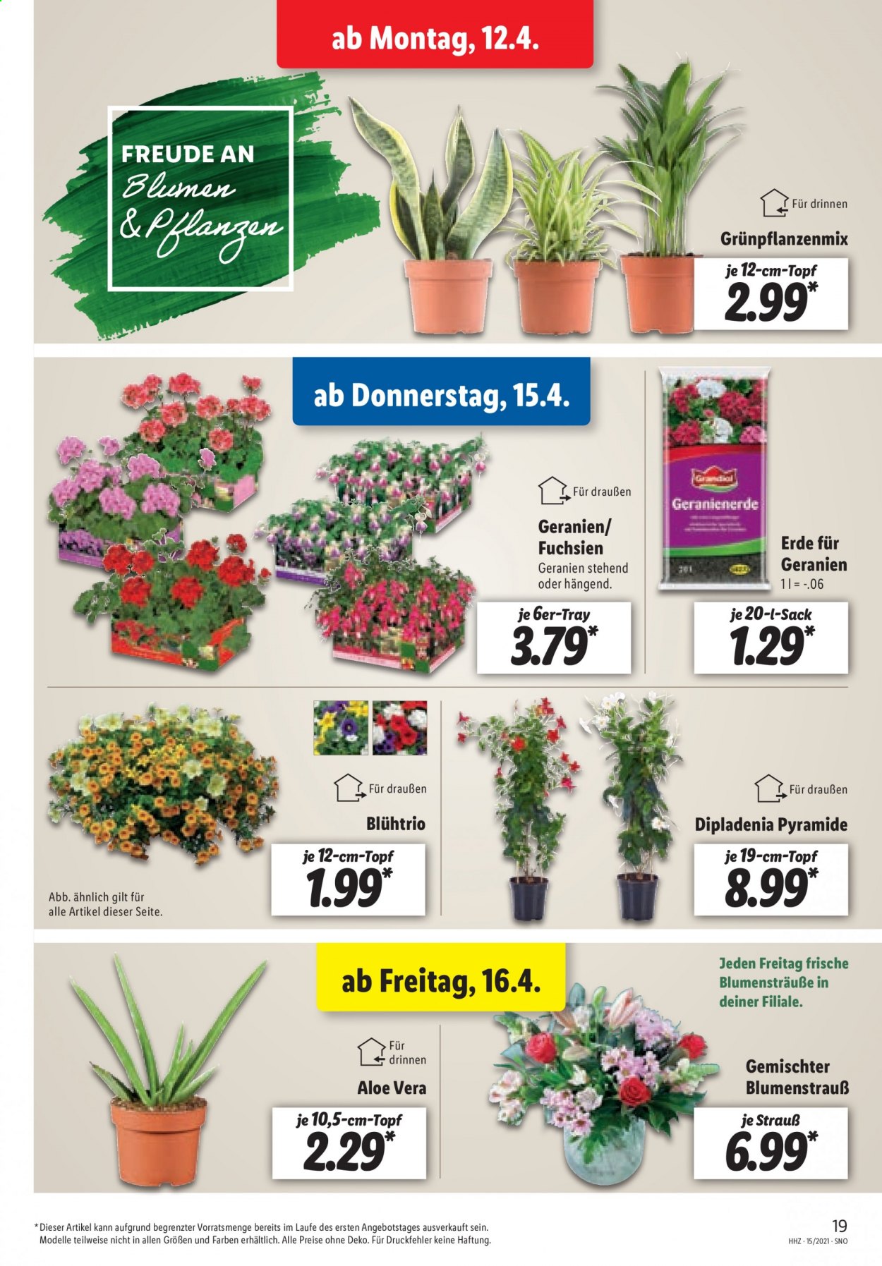 Lidl Prospekte  - 12.04.2021 - 17.04.2021. Seite 19