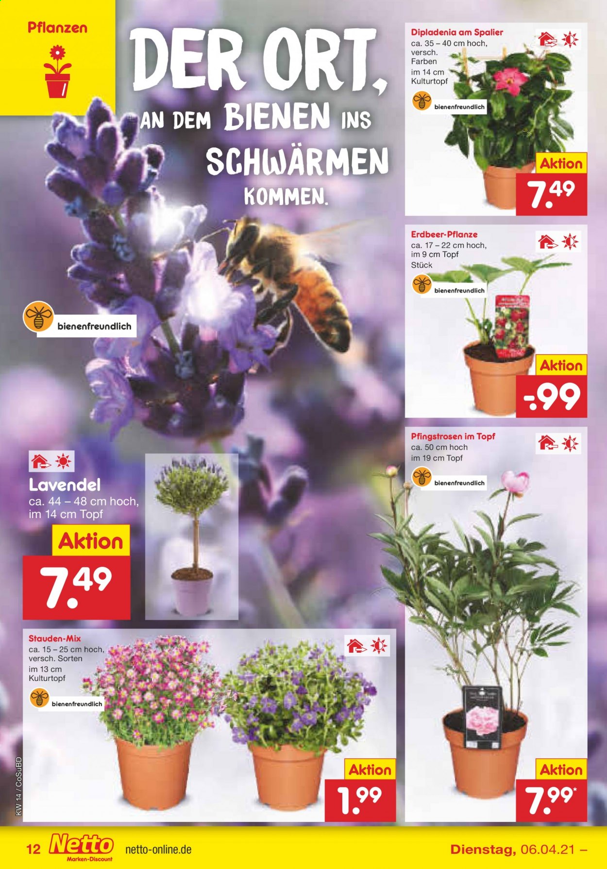 Netto Marken-Discount Prospekte  - 6.04.2021 - 10.04.2021. Seite 14