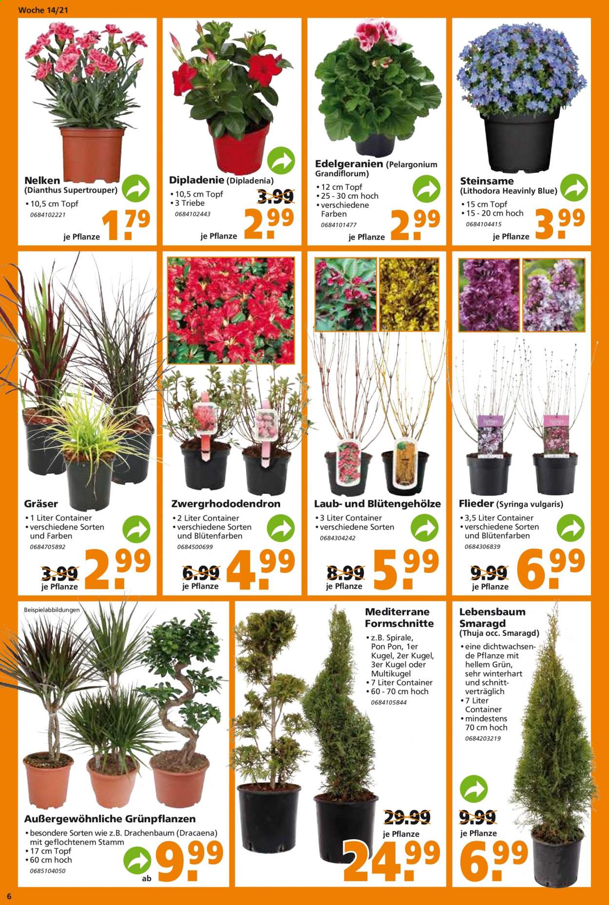 Globus Baumarkt Prospekte  - 6.04.2021 - 13.04.2021. Seite 6