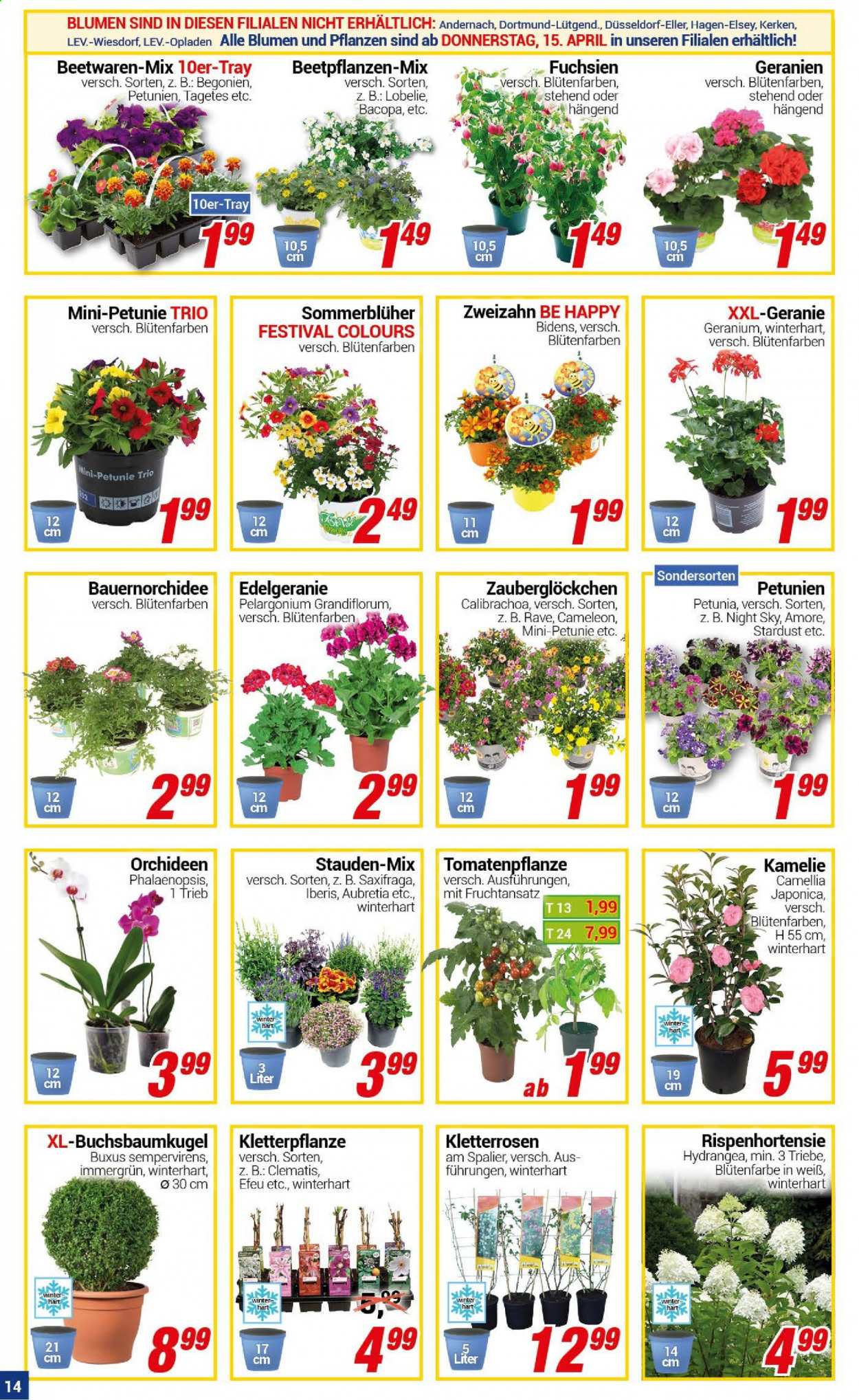 CENTERSHOP Prospekte  - 12.04.2021 - 17.04.2021. Seite 14
