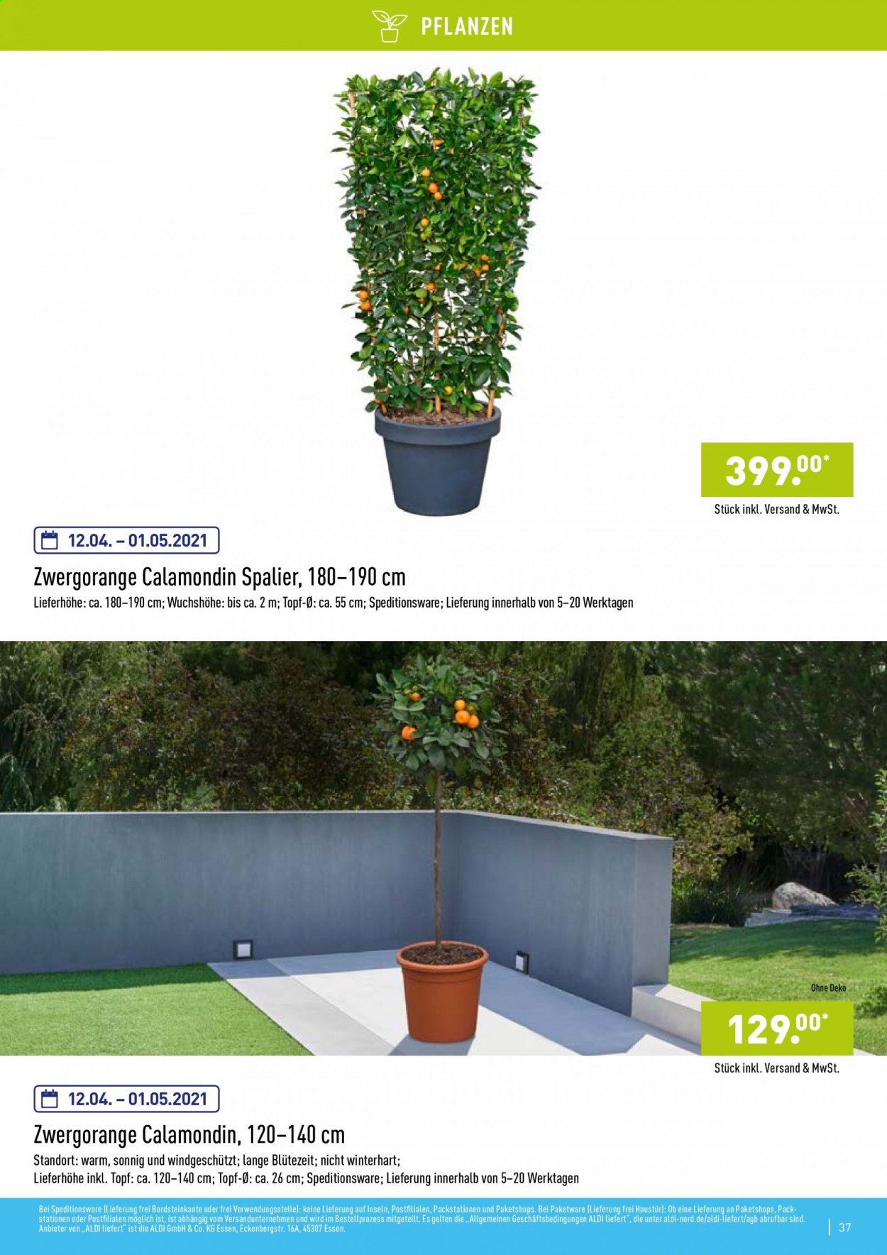 ALDI Nord Prospekte . Seite 37