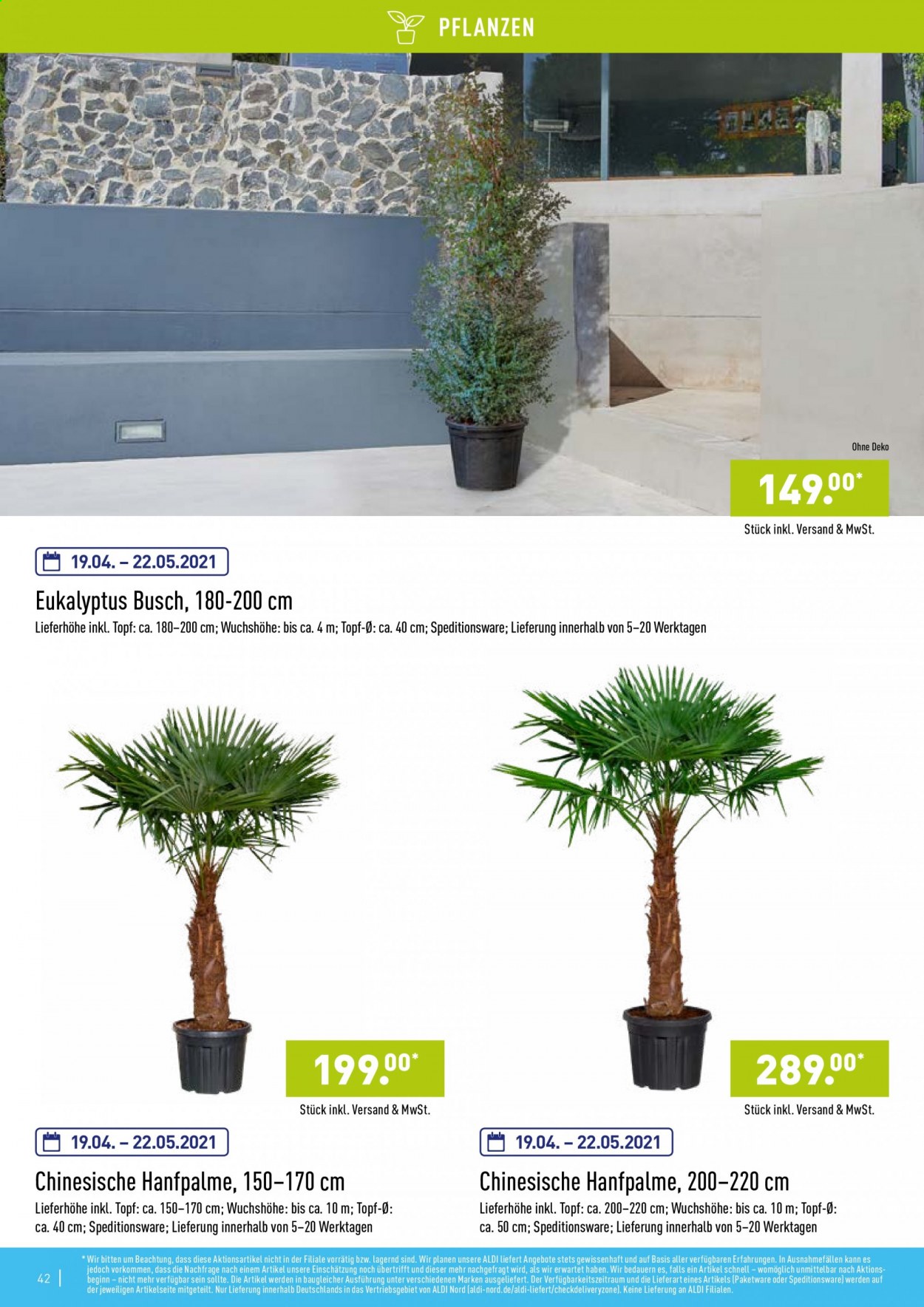 ALDI Nord Prospekte . Seite 42