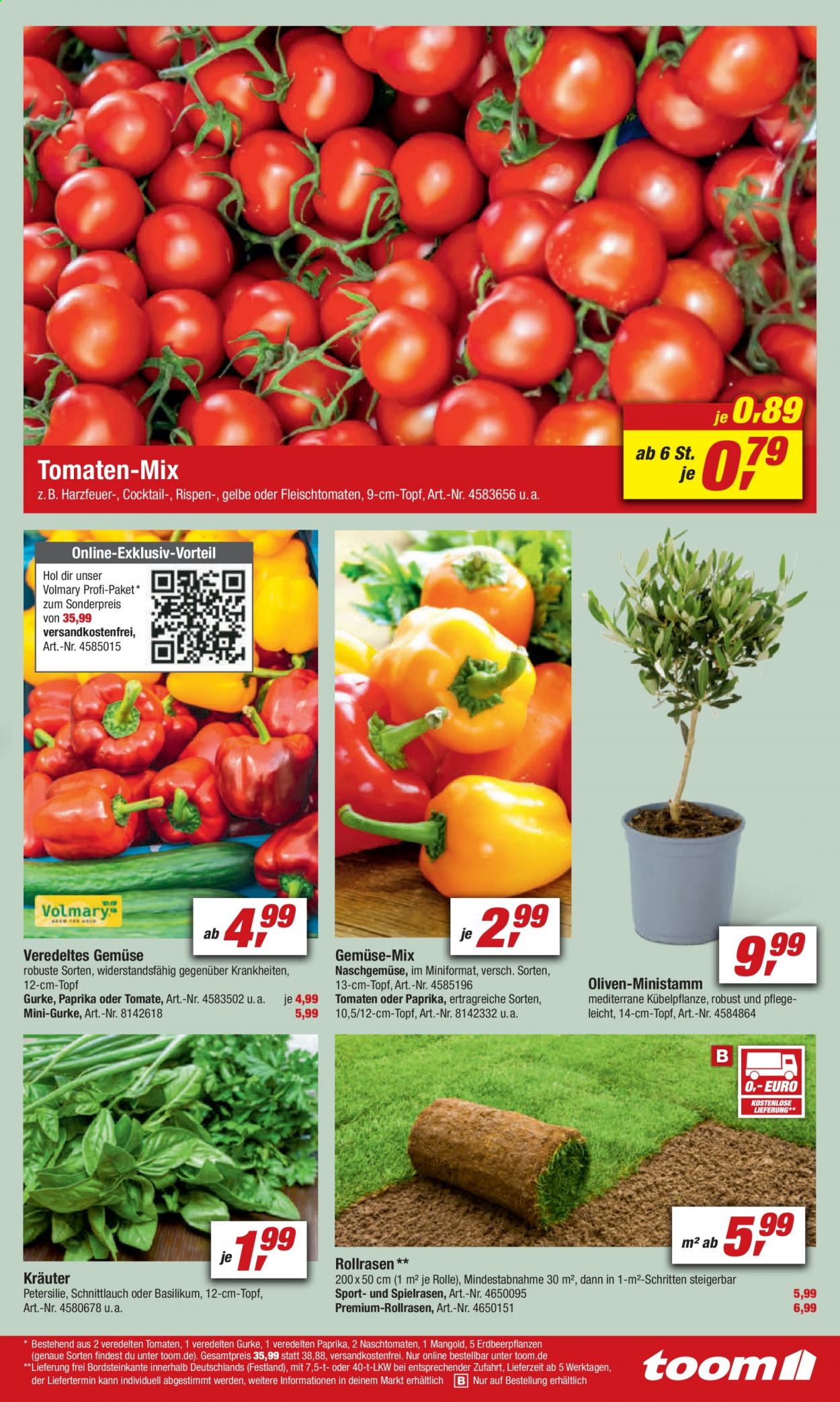 toom Baumarkt Prospekte  - 17.04.2021 - 23.04.2021. Seite 9