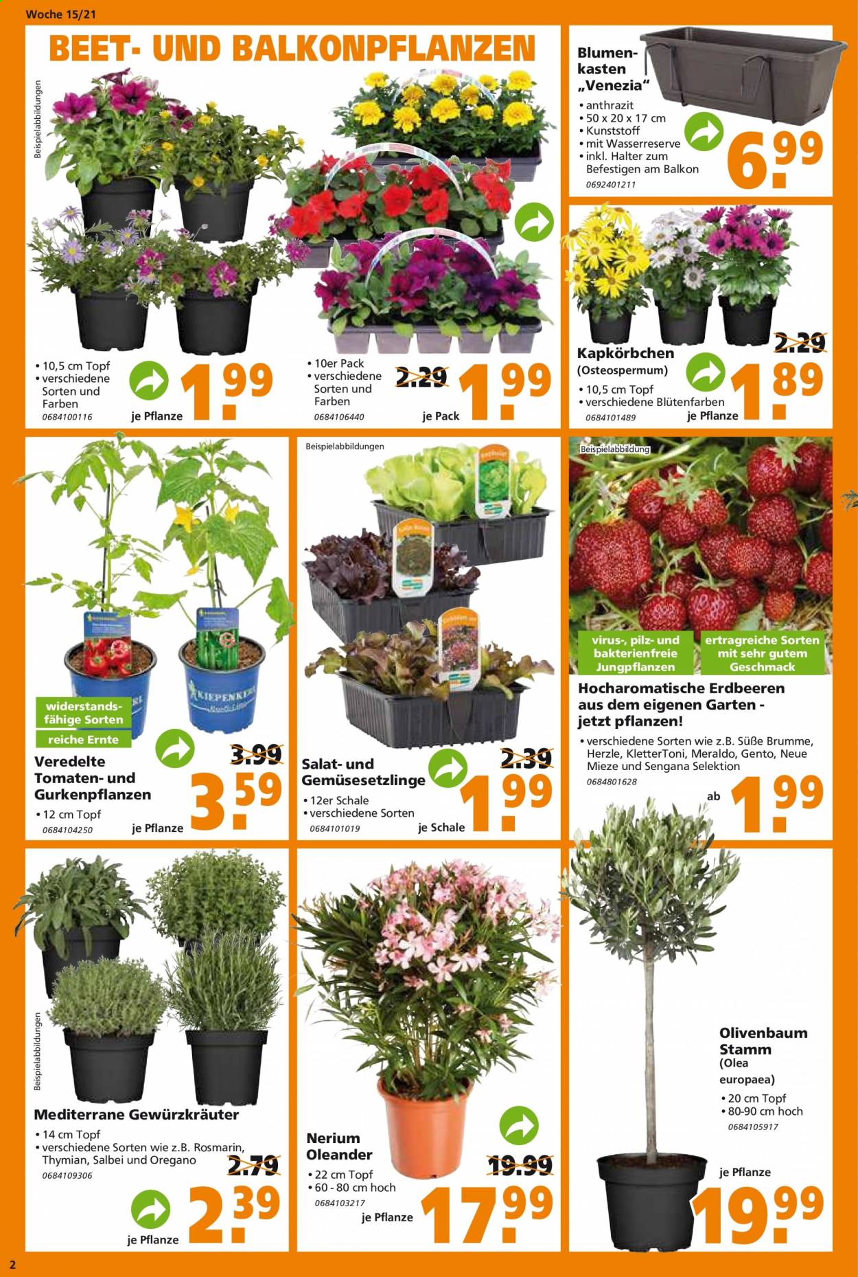 Globus Baumarkt Prospekte  - 13.04.2021 - 20.04.2021. Seite 2