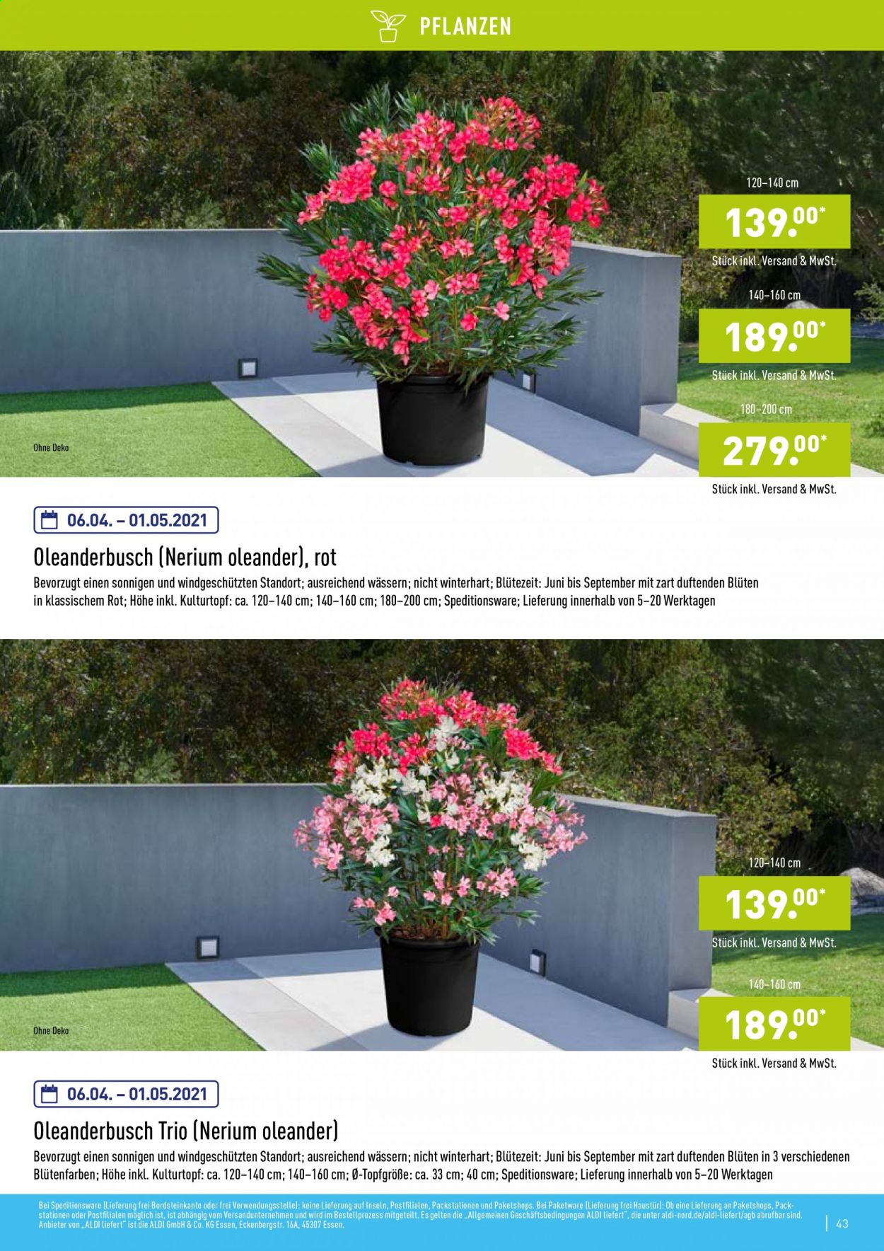 ALDI Nord Prospekte . Seite 43