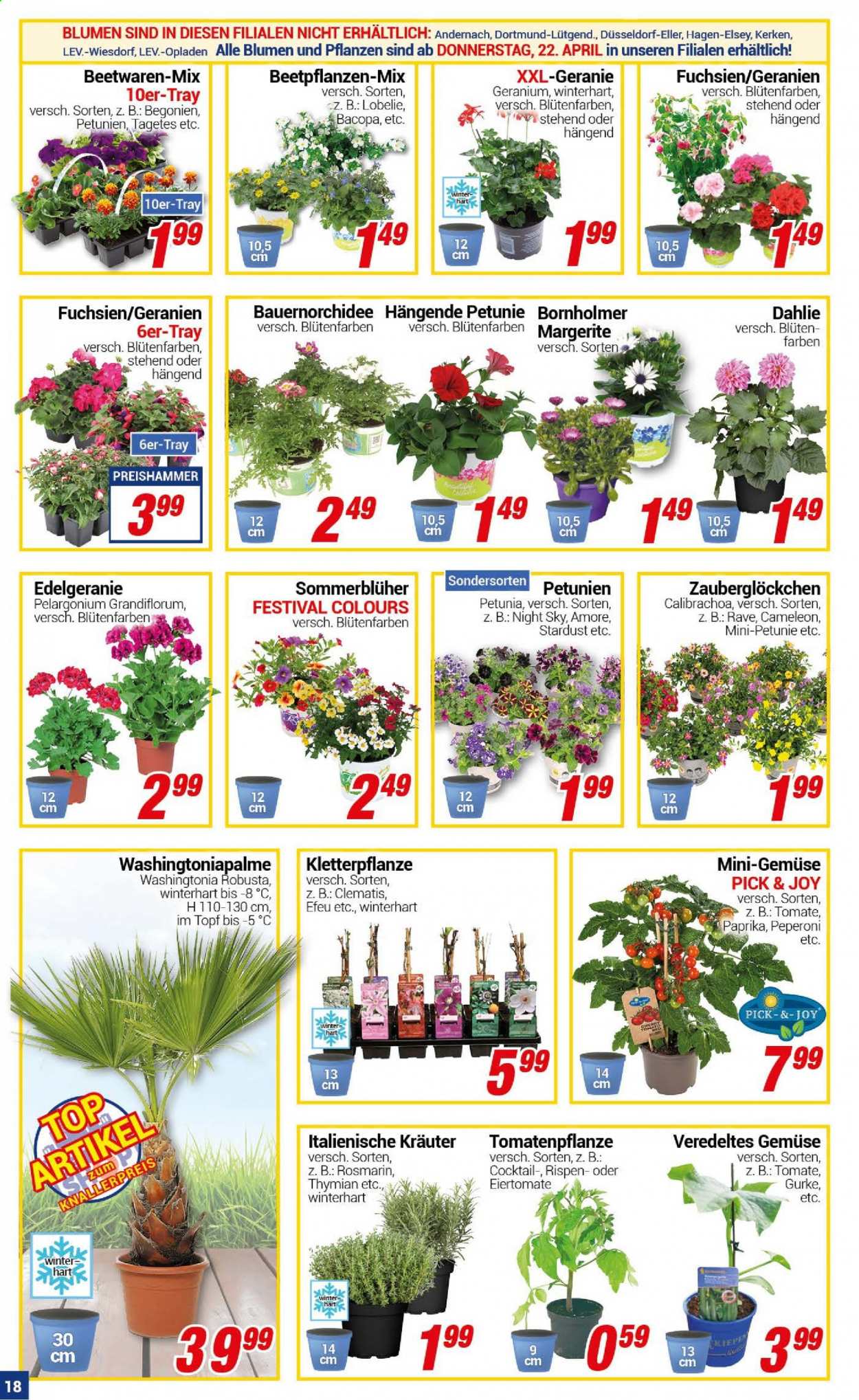 CENTERSHOP Prospekte  - 19.04.2021 - 24.04.2021. Seite 18