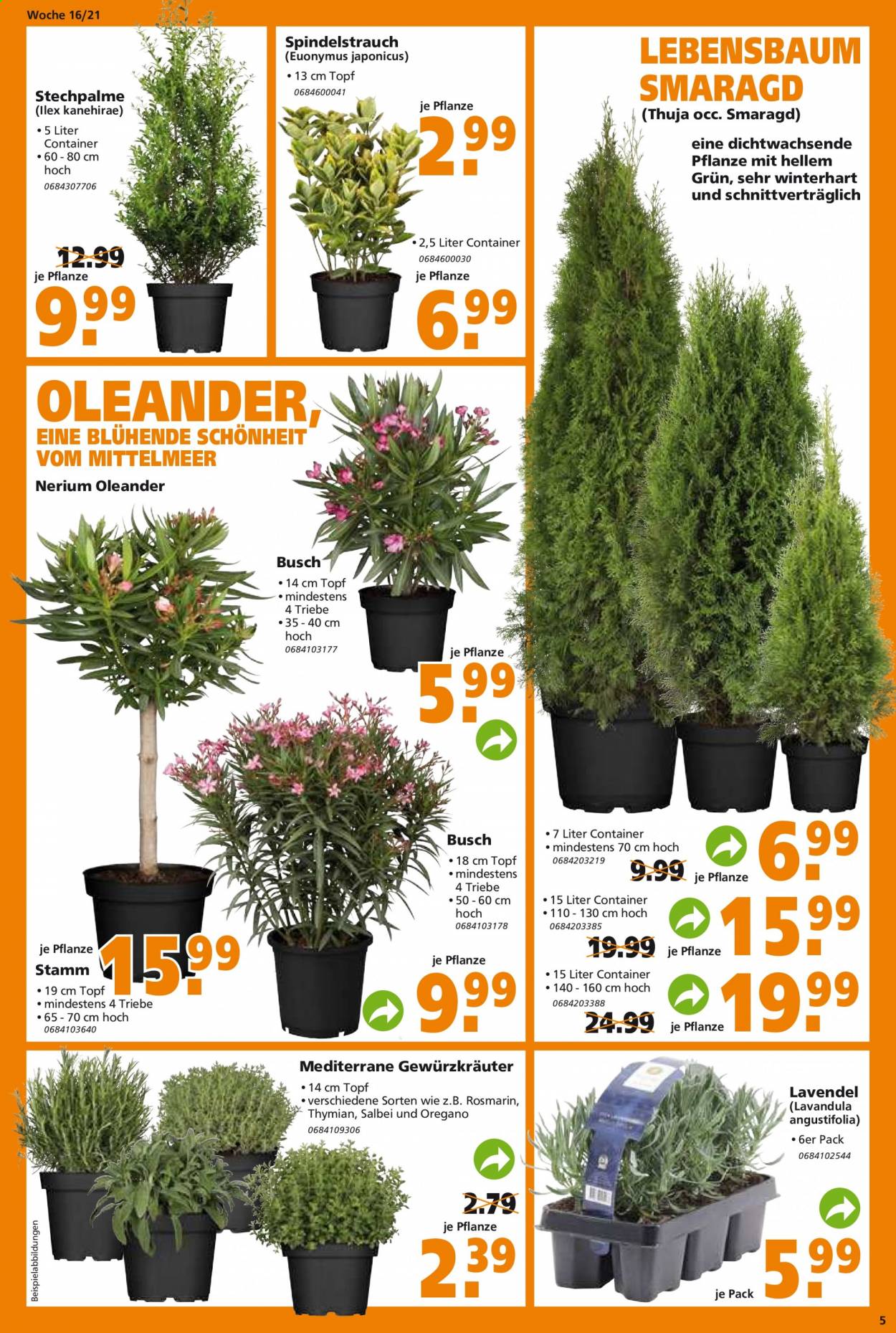 Globus Baumarkt Prospekte  - 19.04.2021 - 24.04.2021. Seite 5