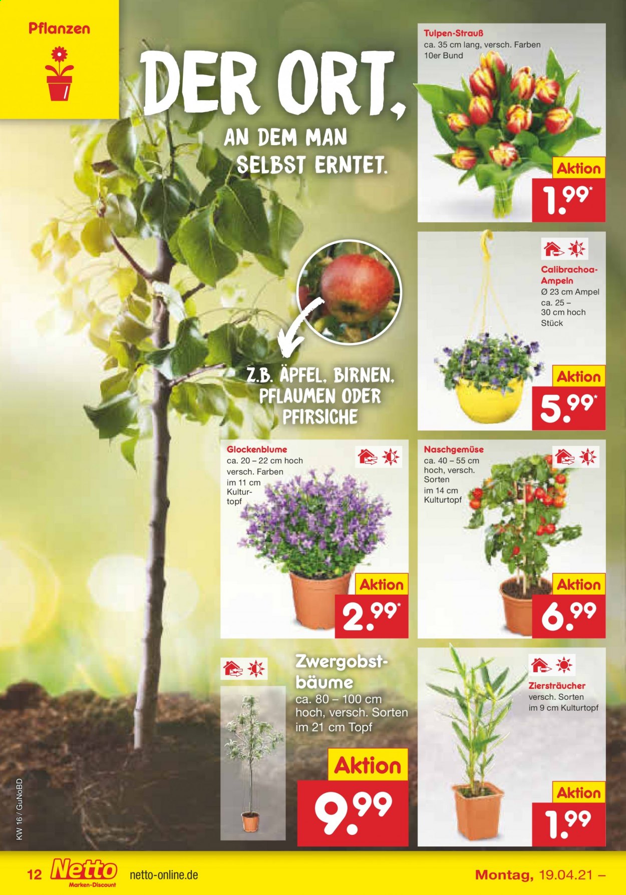 Netto Marken-Discount Prospekte  - 19.04.2021 - 24.04.2021. Seite 14