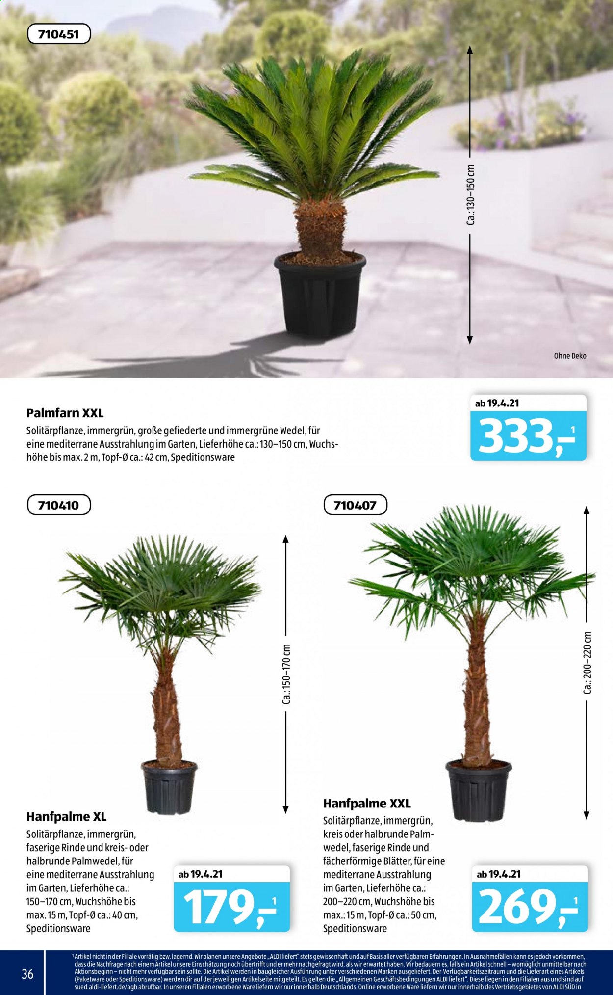 ALDI SÜD Prospekte . Seite 36