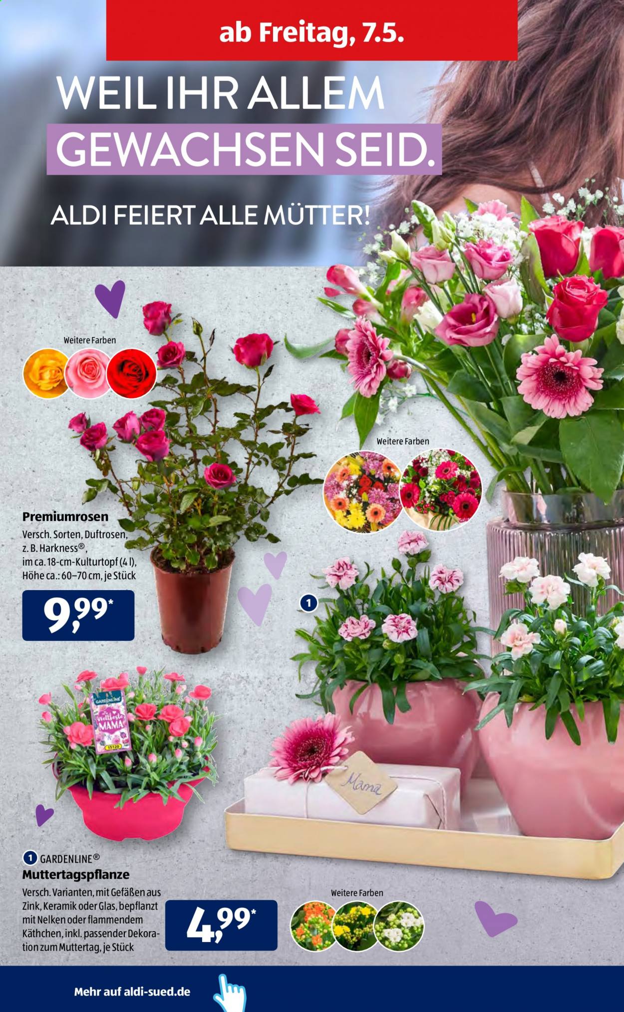 ALDI SÜD Prospekte  - 3.05.2021 - 8.05.2021. Seite 29