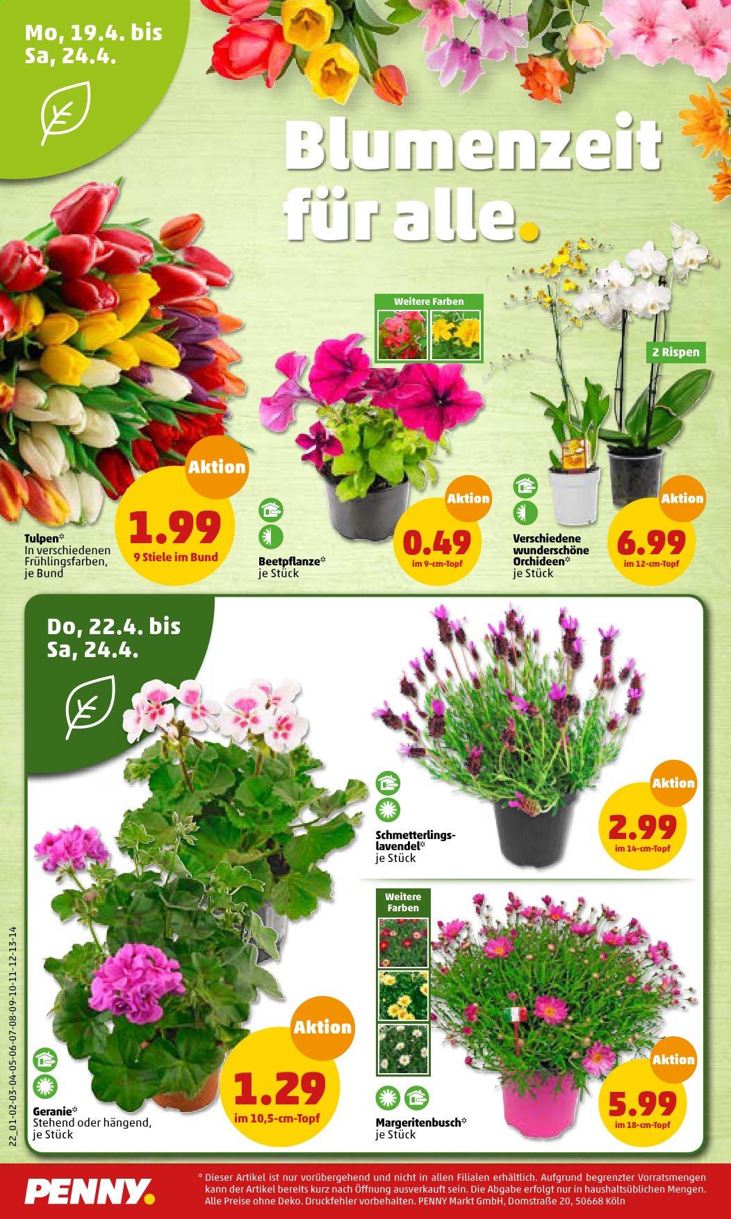 Penny Prospekte  - 19.04.2021 - 24.04.2021. Seite 22