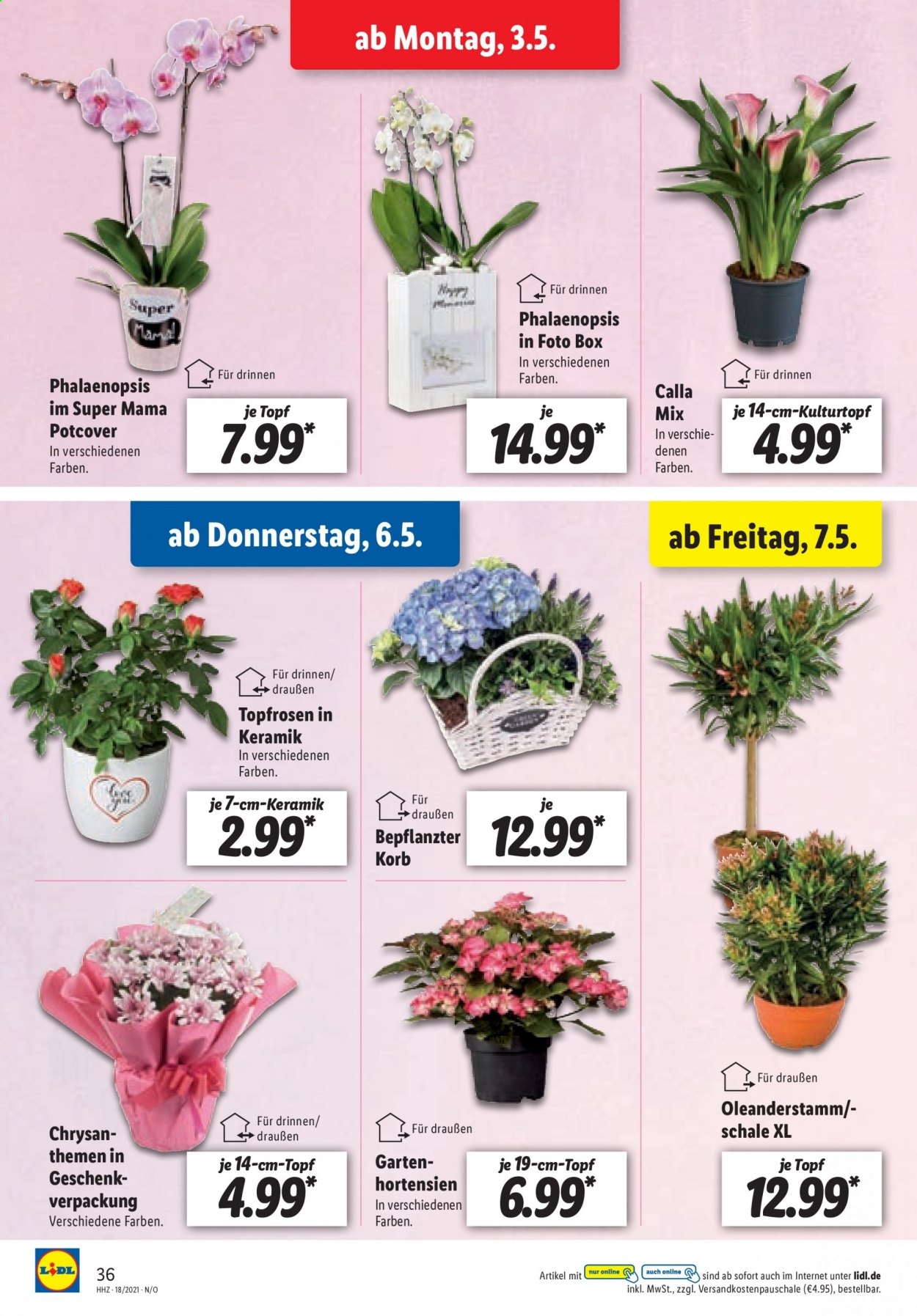 Lidl Prospekte  - 3.05.2021 - 8.05.2021. Seite 36