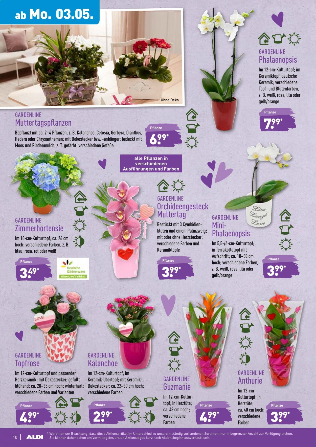 ALDI Nord Prospekte  - 3.05.2021 - 8.05.2021. Seite 10