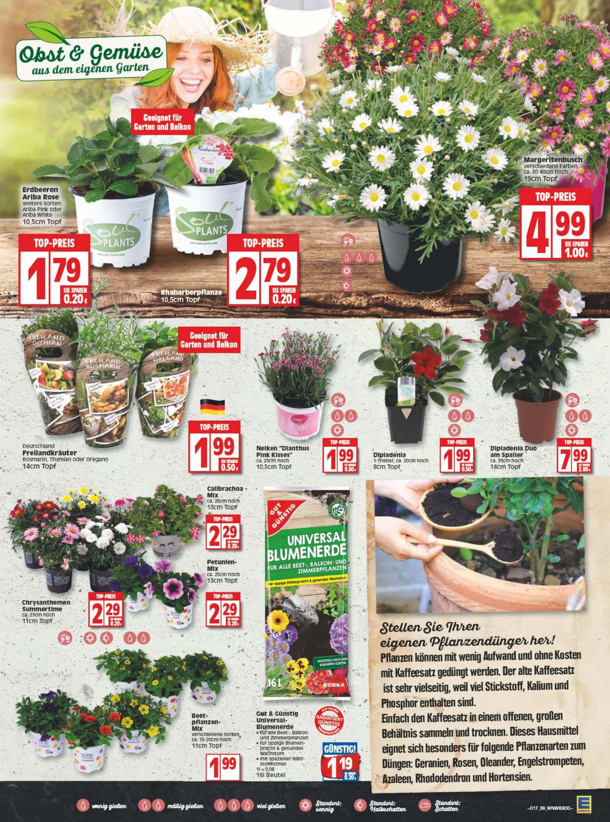 Edeka Prospekte  - 26.04.2021 - 30.04.2021. Seite 9