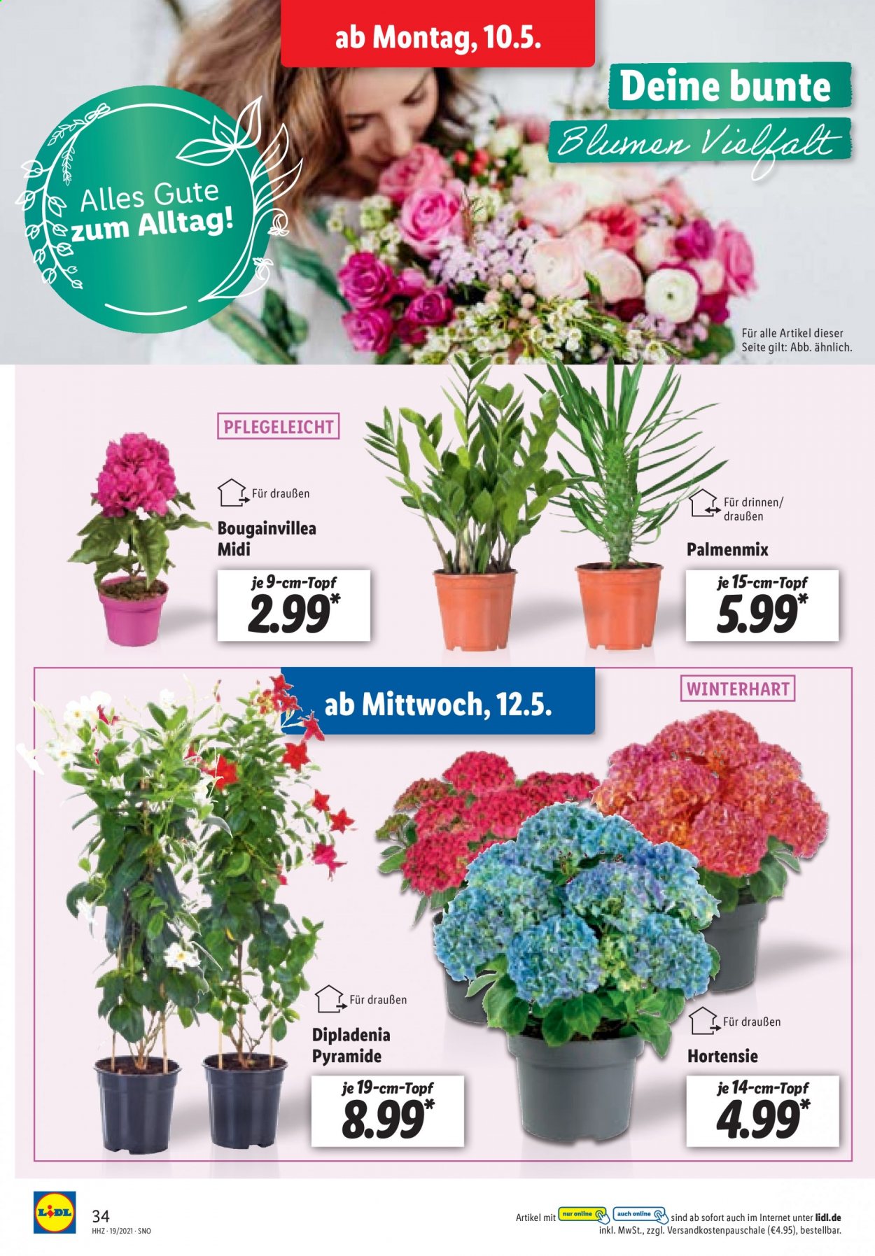 Lidl Prospekte  - 10.05.2021 - 15.05.2021. Seite 34