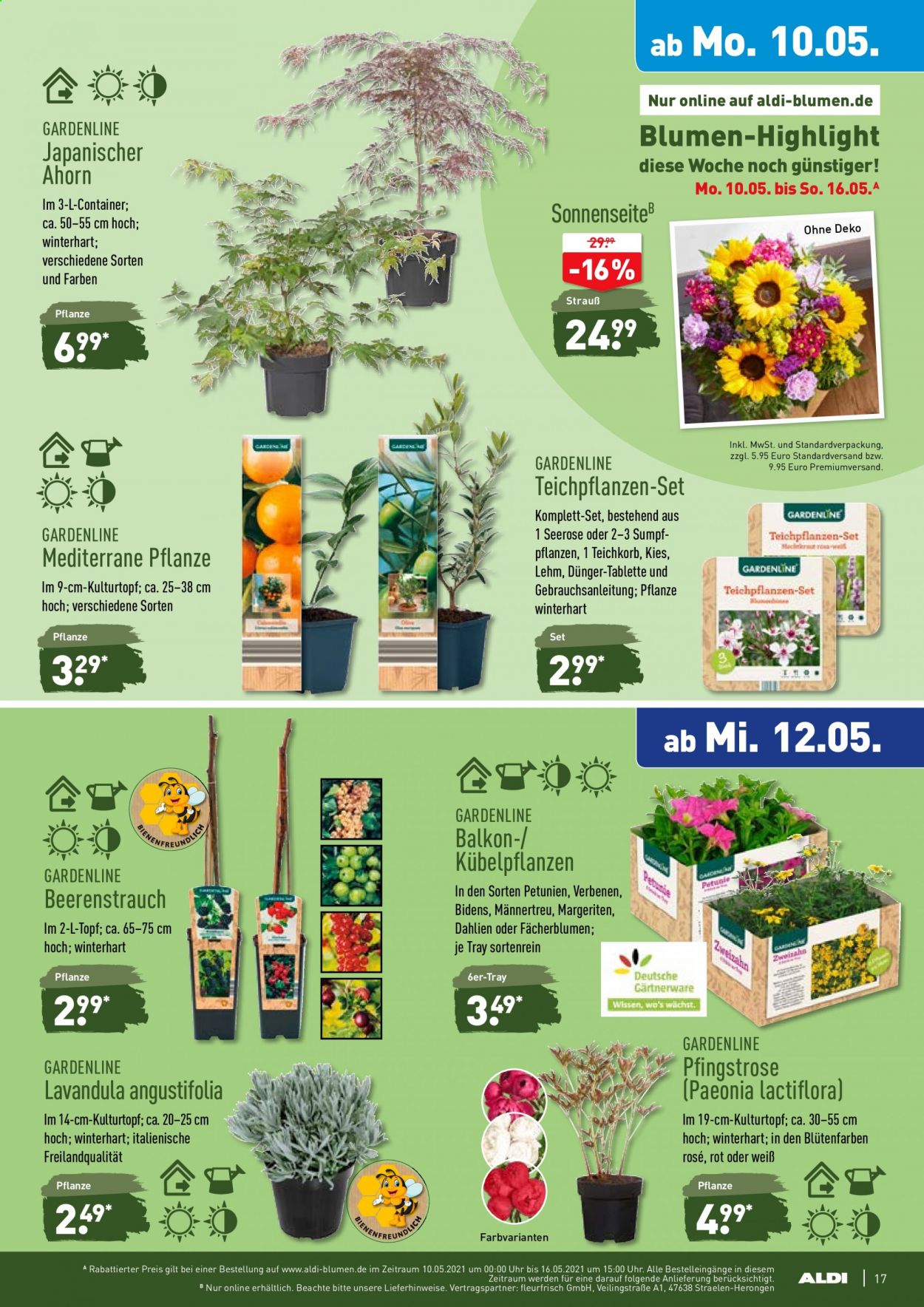 ALDI Nord Prospekte  - 10.05.2021 - 15.05.2021. Seite 17