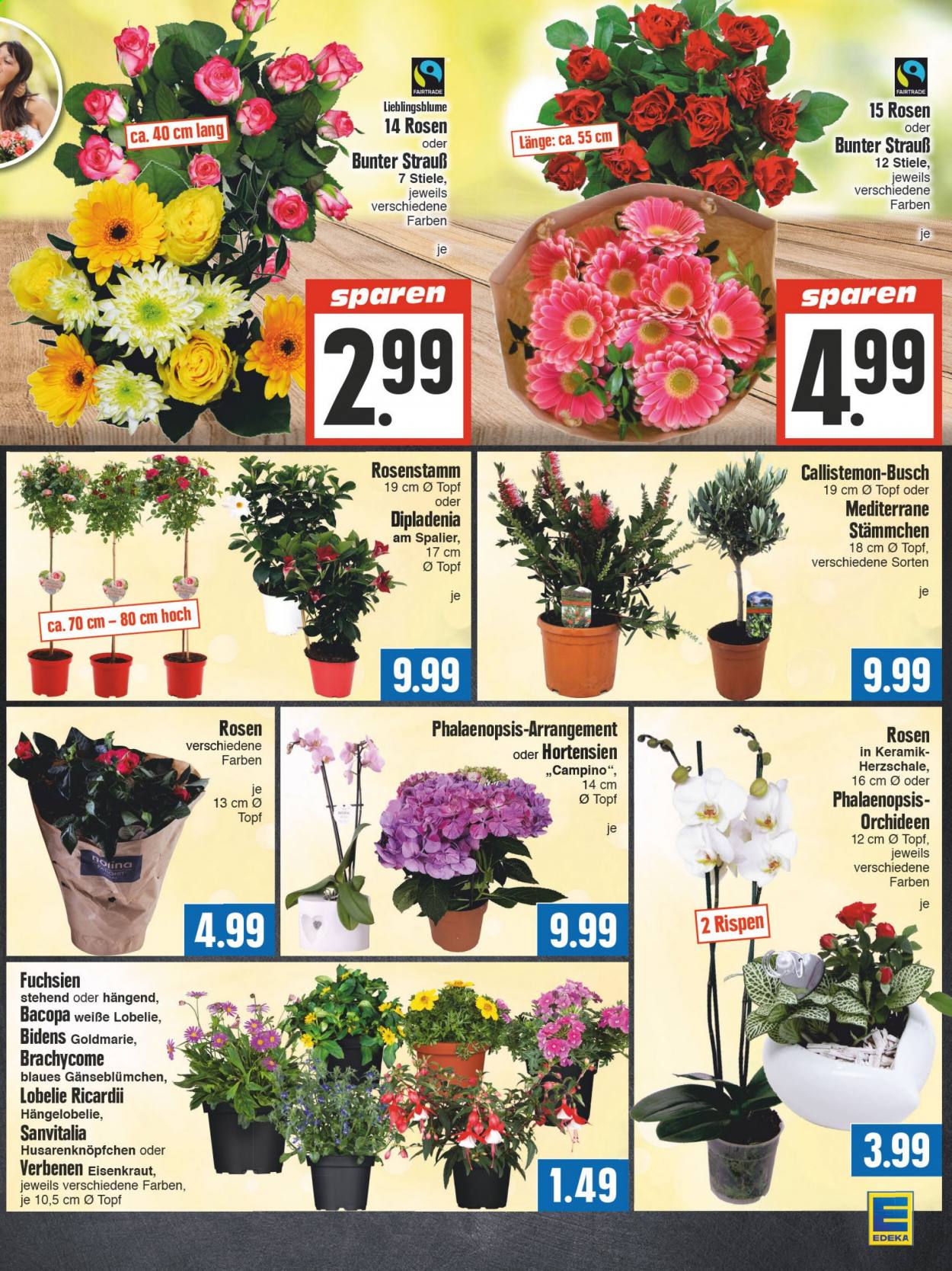 Edeka Prospekte  - 3.05.2021 - 8.05.2021. Seite 9