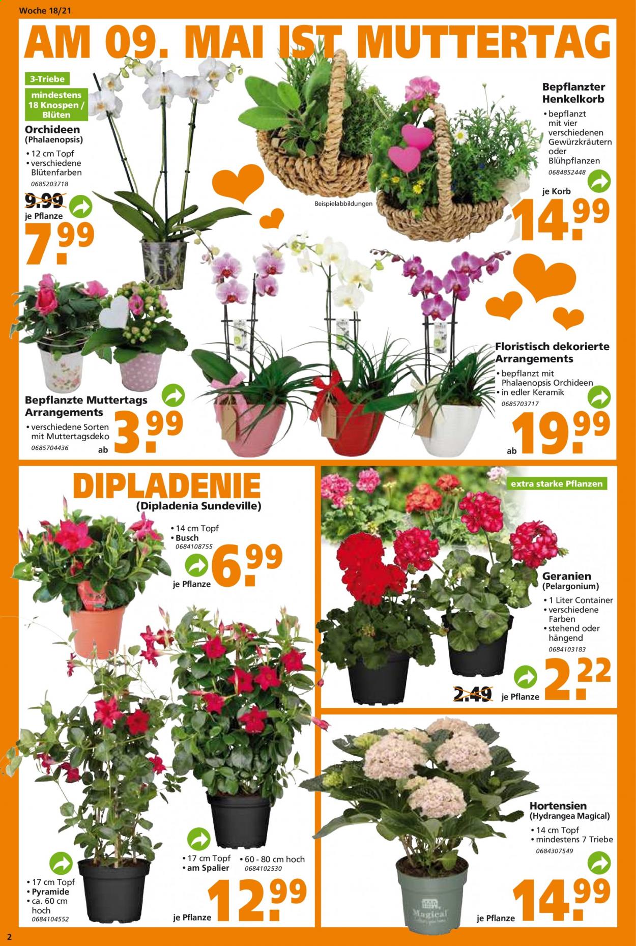 Globus Baumarkt Prospekte  - 3.05.2021 - 8.05.2021. Seite 2