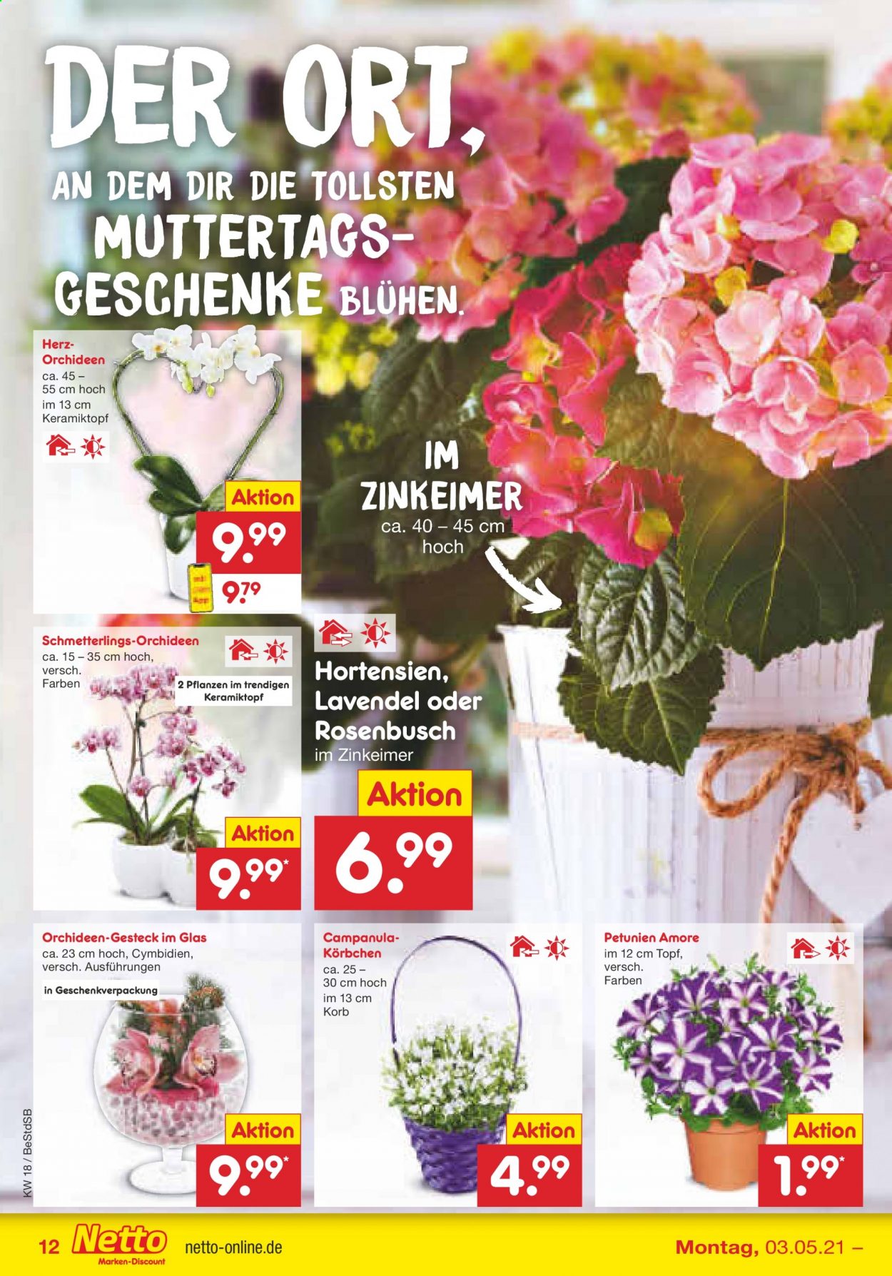 Netto Marken-Discount Prospekte  - 3.05.2021 - 8.05.2021. Seite 12