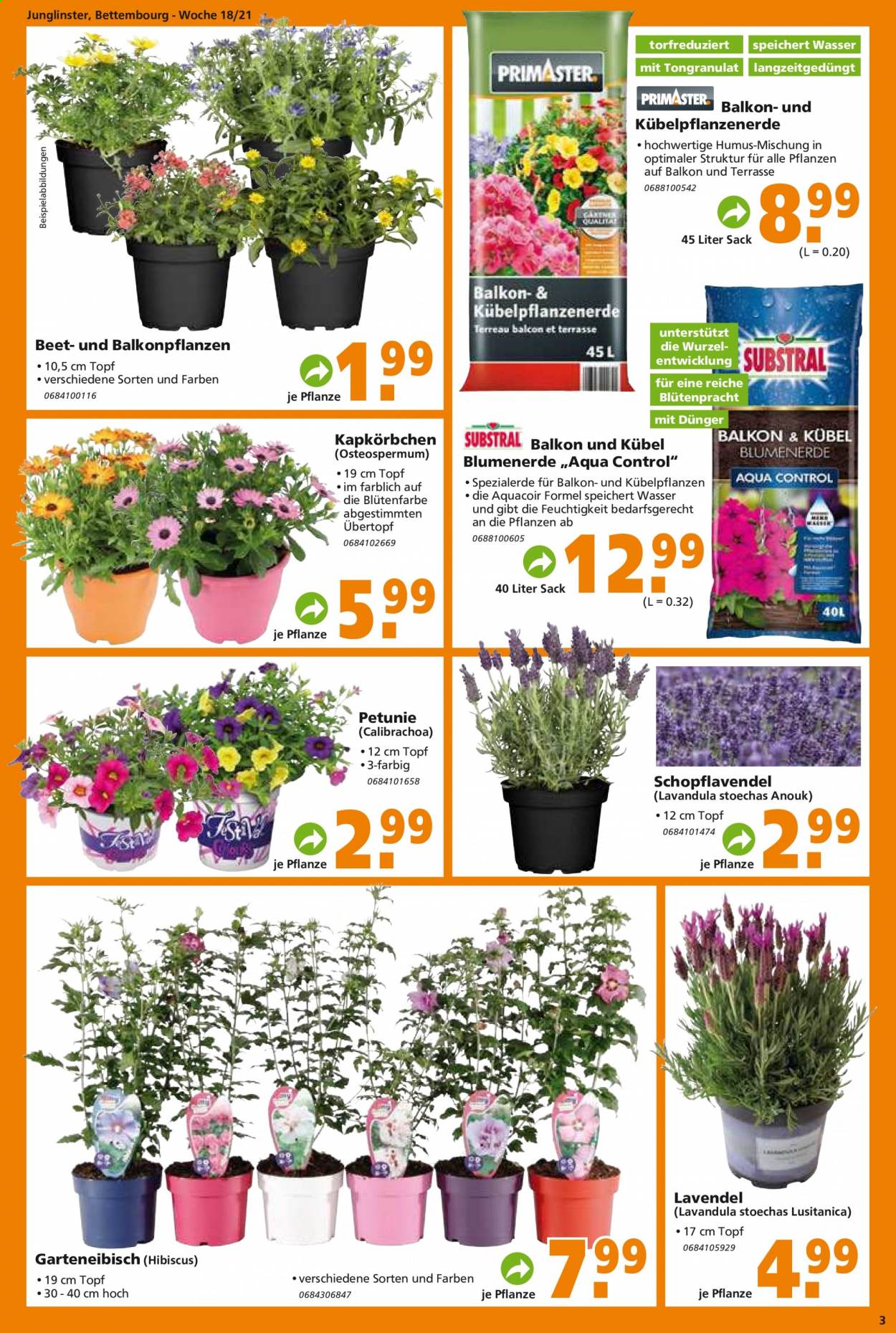 Globus Baumarkt Prospekte  - 4.05.2021 - 11.05.2021. Seite 3