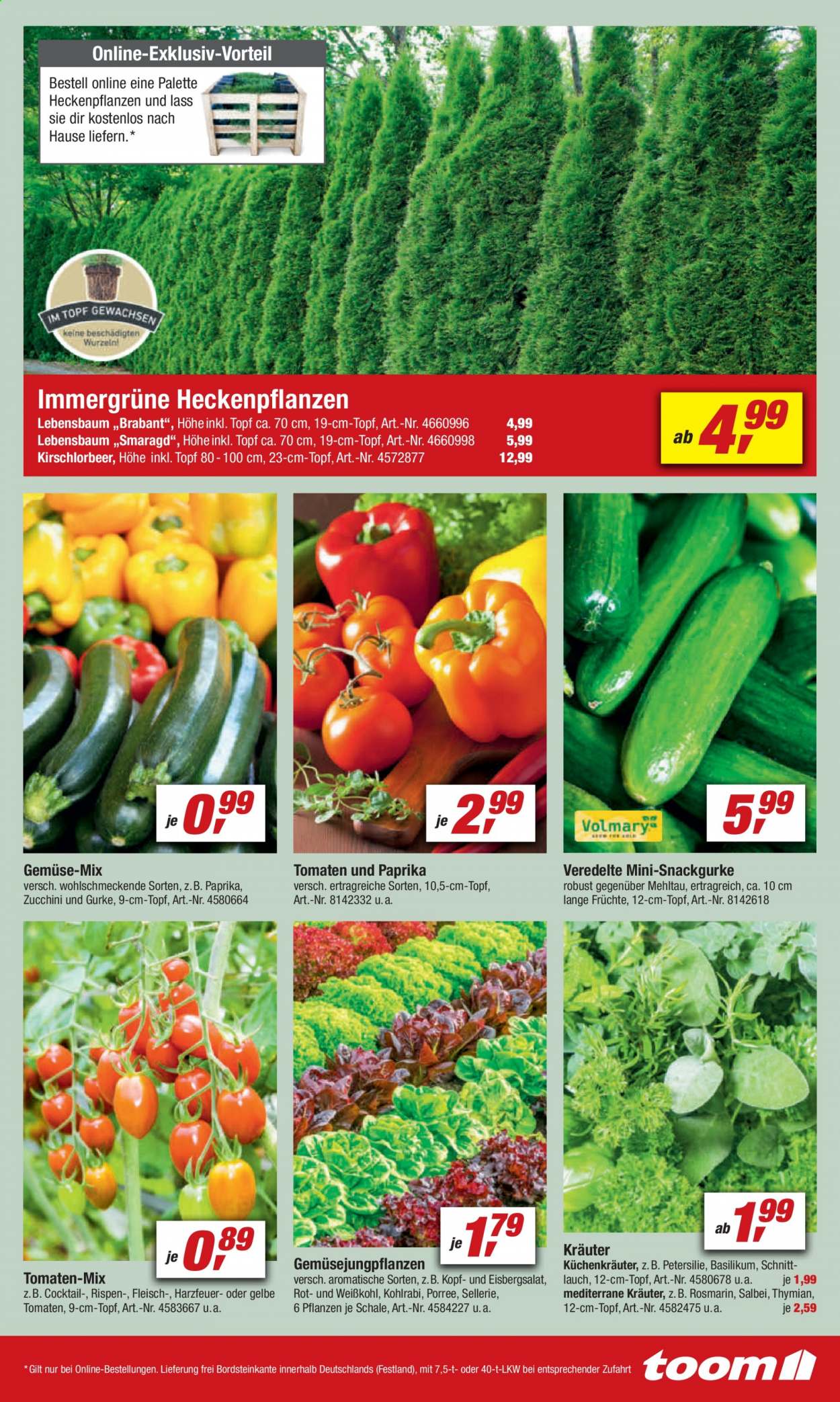 toom Baumarkt Prospekte  - 8.05.2021 - 14.05.2021. Seite 11