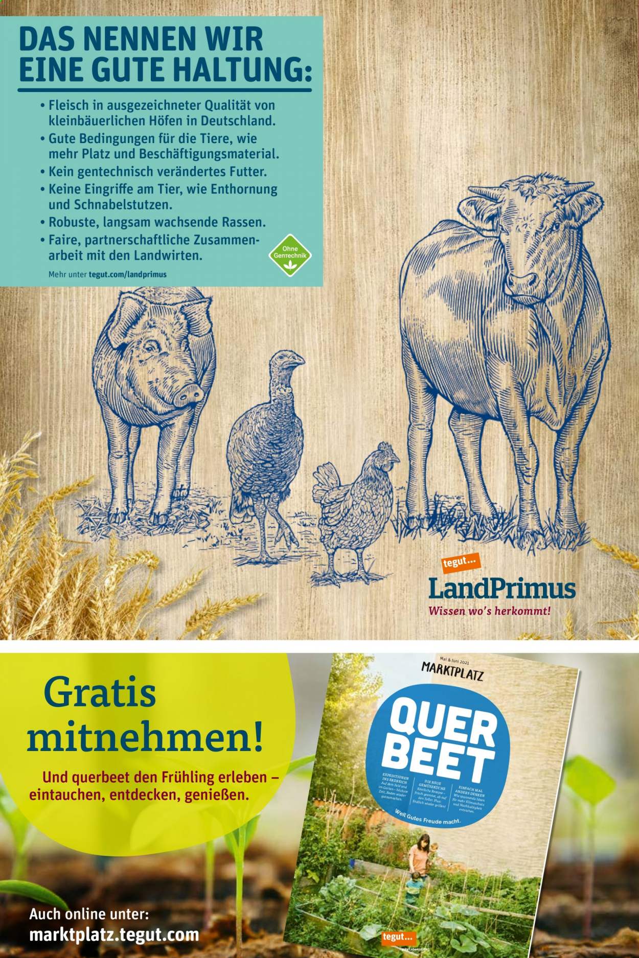 tegut... Prospekte  - 10.05.2021 - 15.05.2021. Seite 6