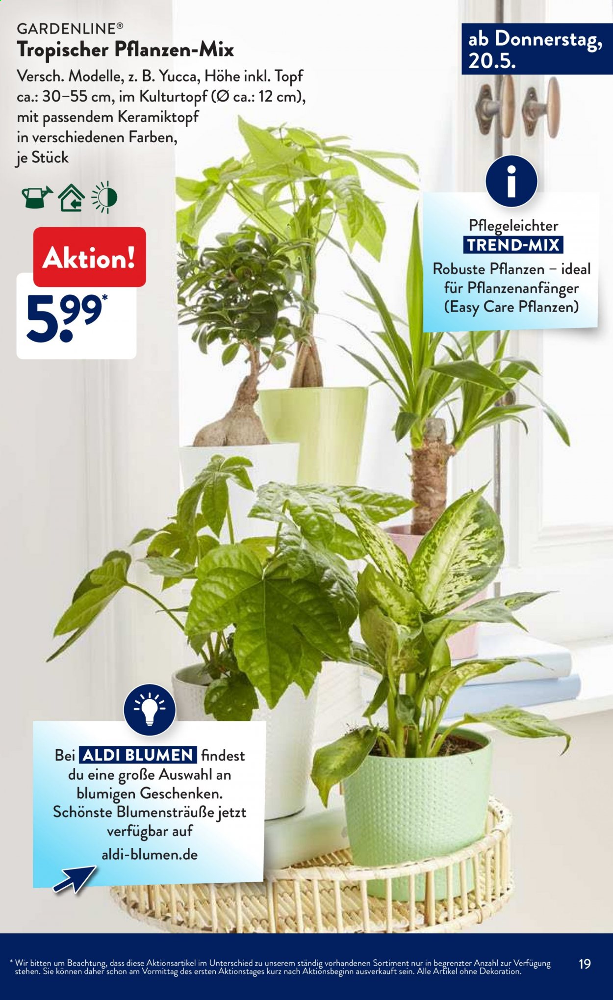 ALDI SÜD Prospekte . Seite 19