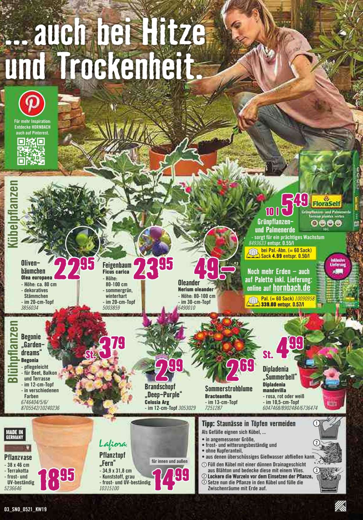 Hornbach Prospekte  - 12.05.2021 - 9.06.2021. Seite 3