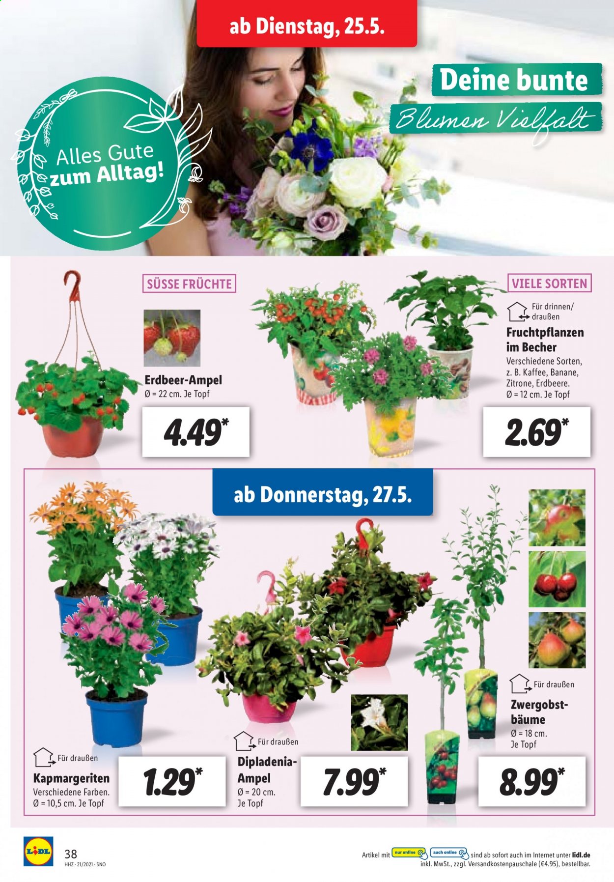Lidl Prospekte  - 25.05.2021 - 29.05.2021. Seite 38