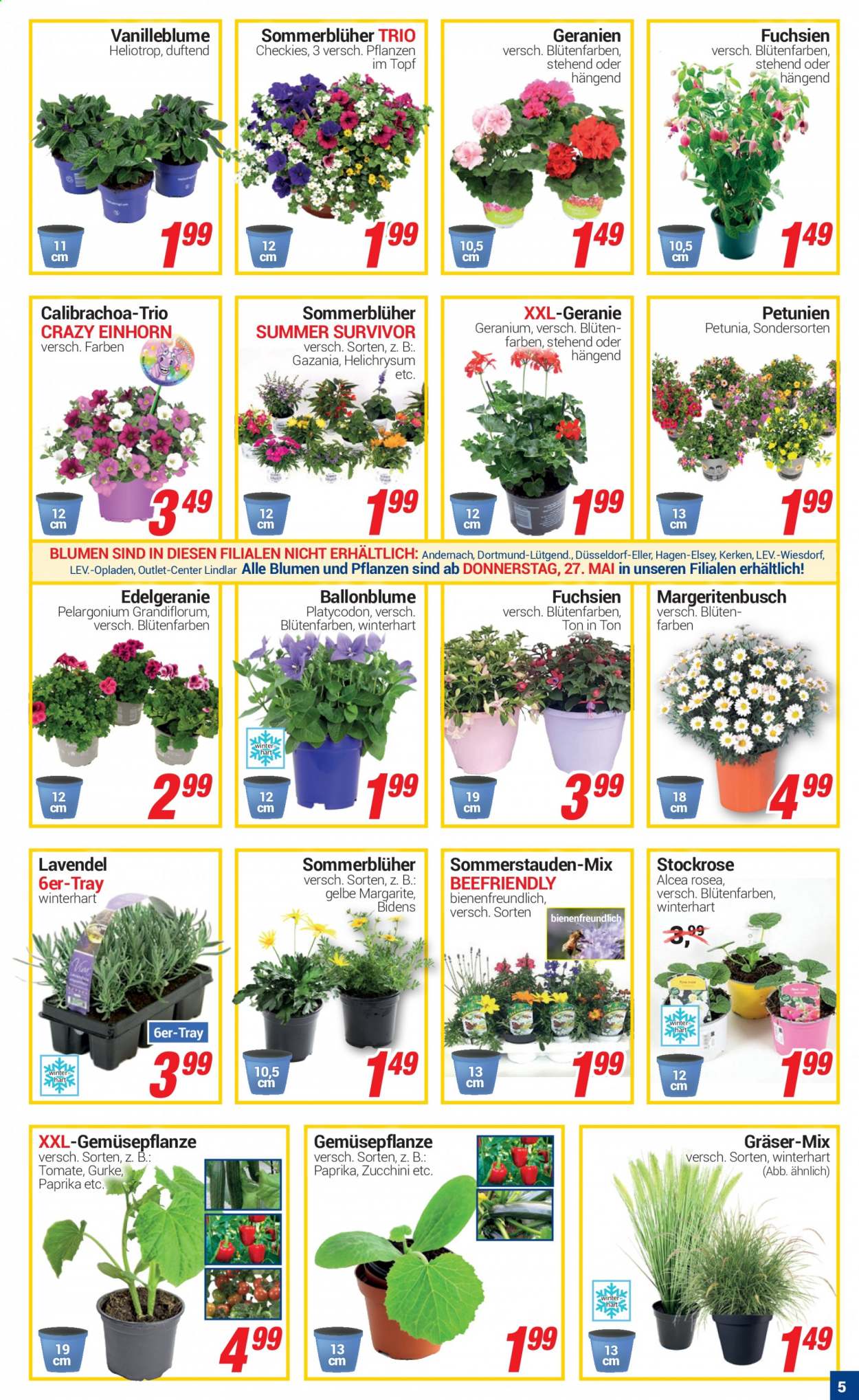 CENTERSHOP Prospekte  - 25.05.2021 - 29.05.2021. Seite 5