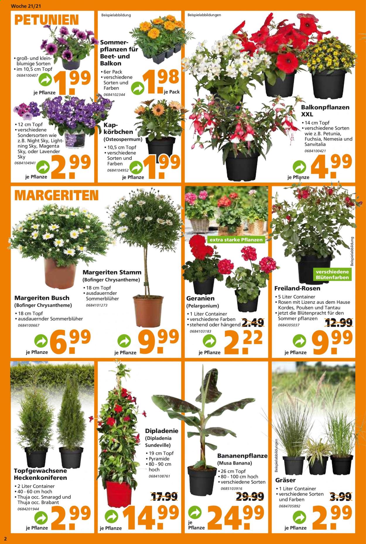 Globus Baumarkt Prospekte  - 25.05.2021 - 29.05.2021. Seite 2