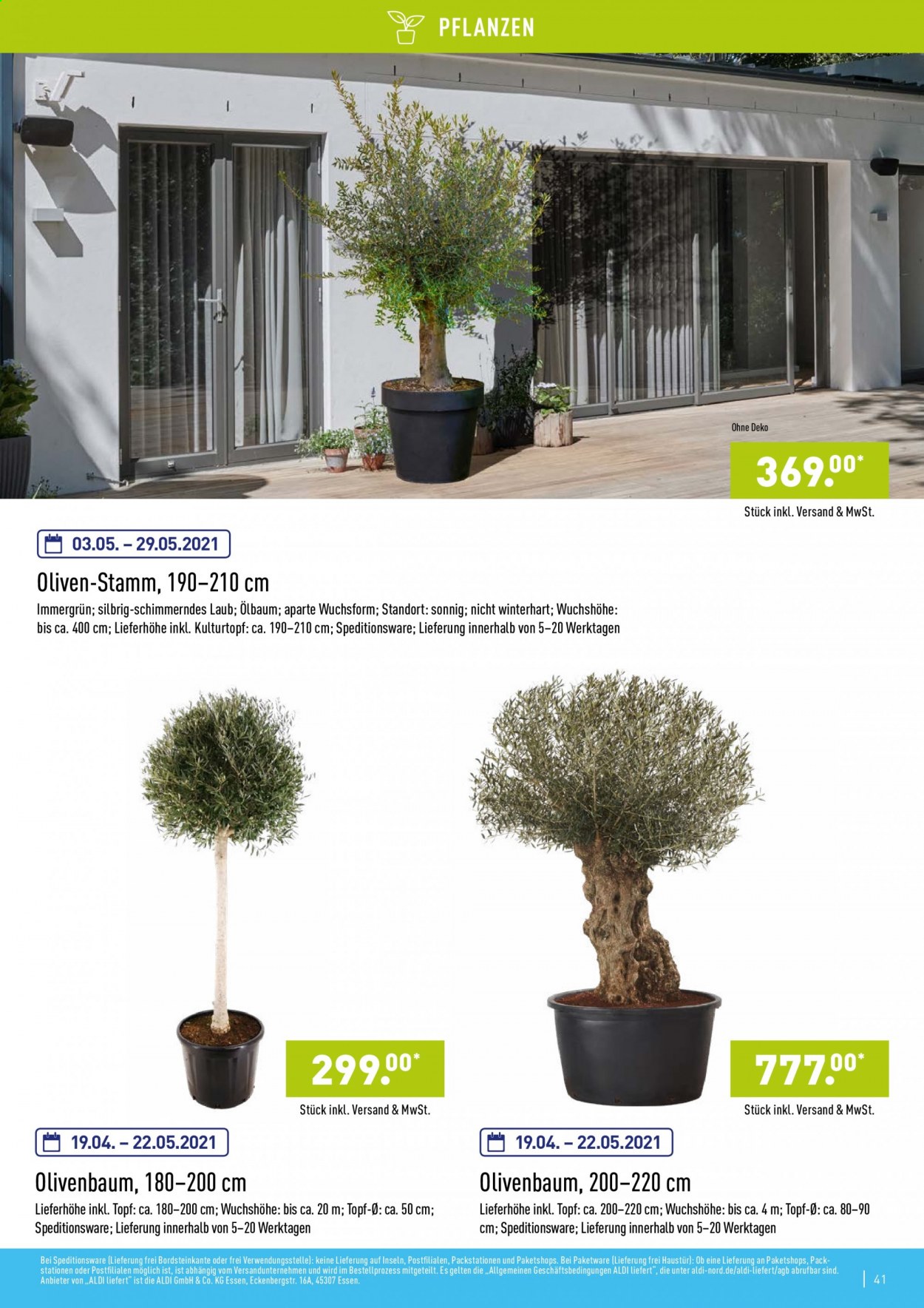 ALDI Nord Prospekte . Seite 41