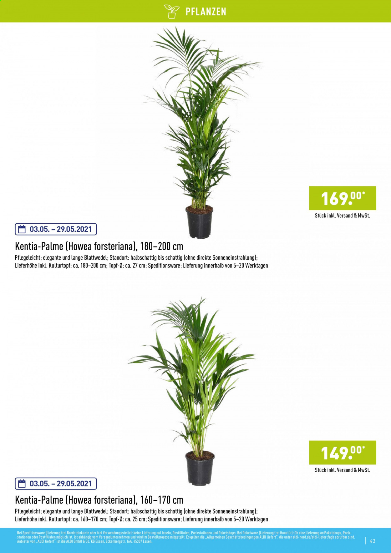 ALDI Nord Prospekte . Seite 43