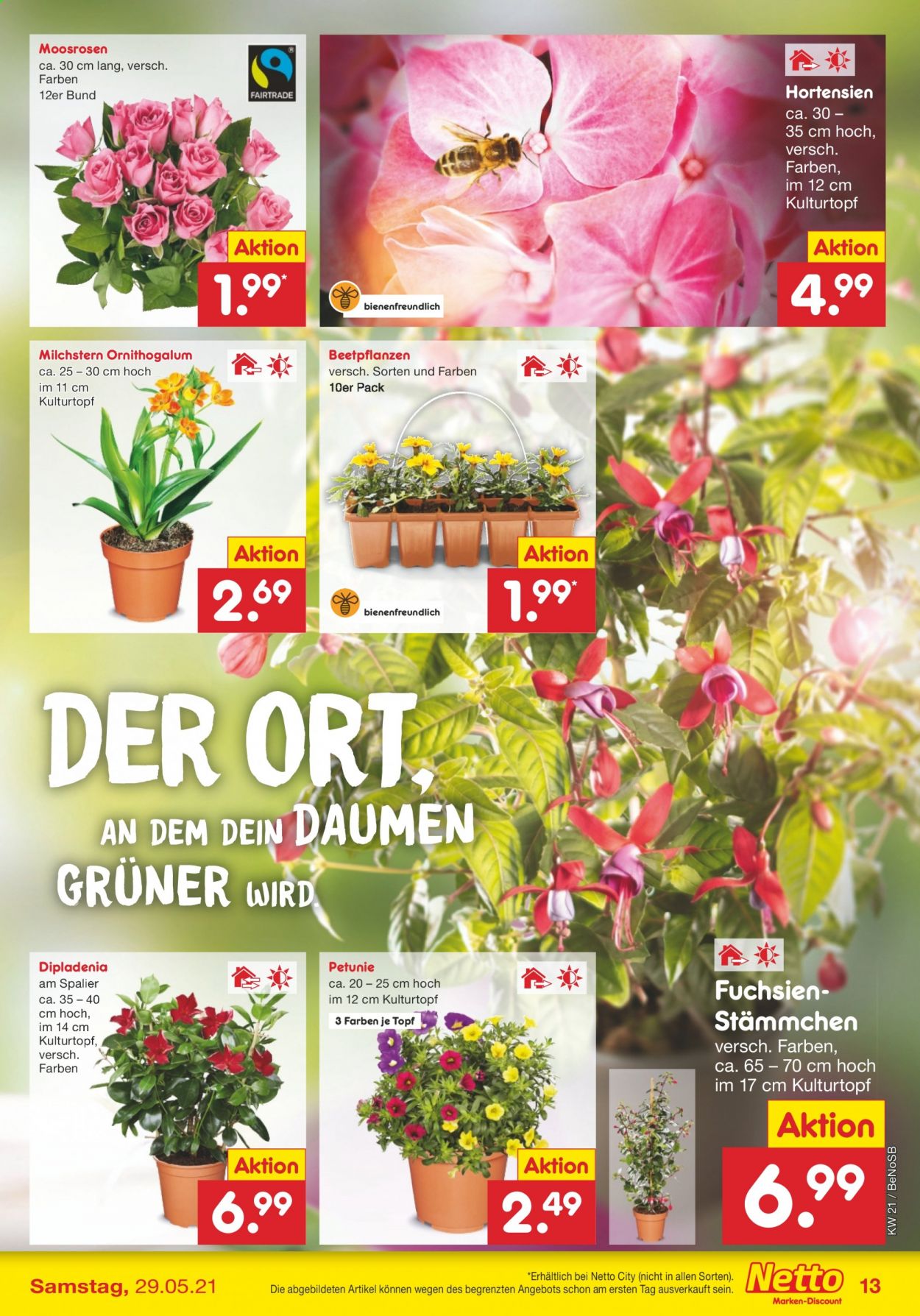 Netto Marken-Discount Prospekte  - 25.05.2021 - 29.05.2021. Seite 13