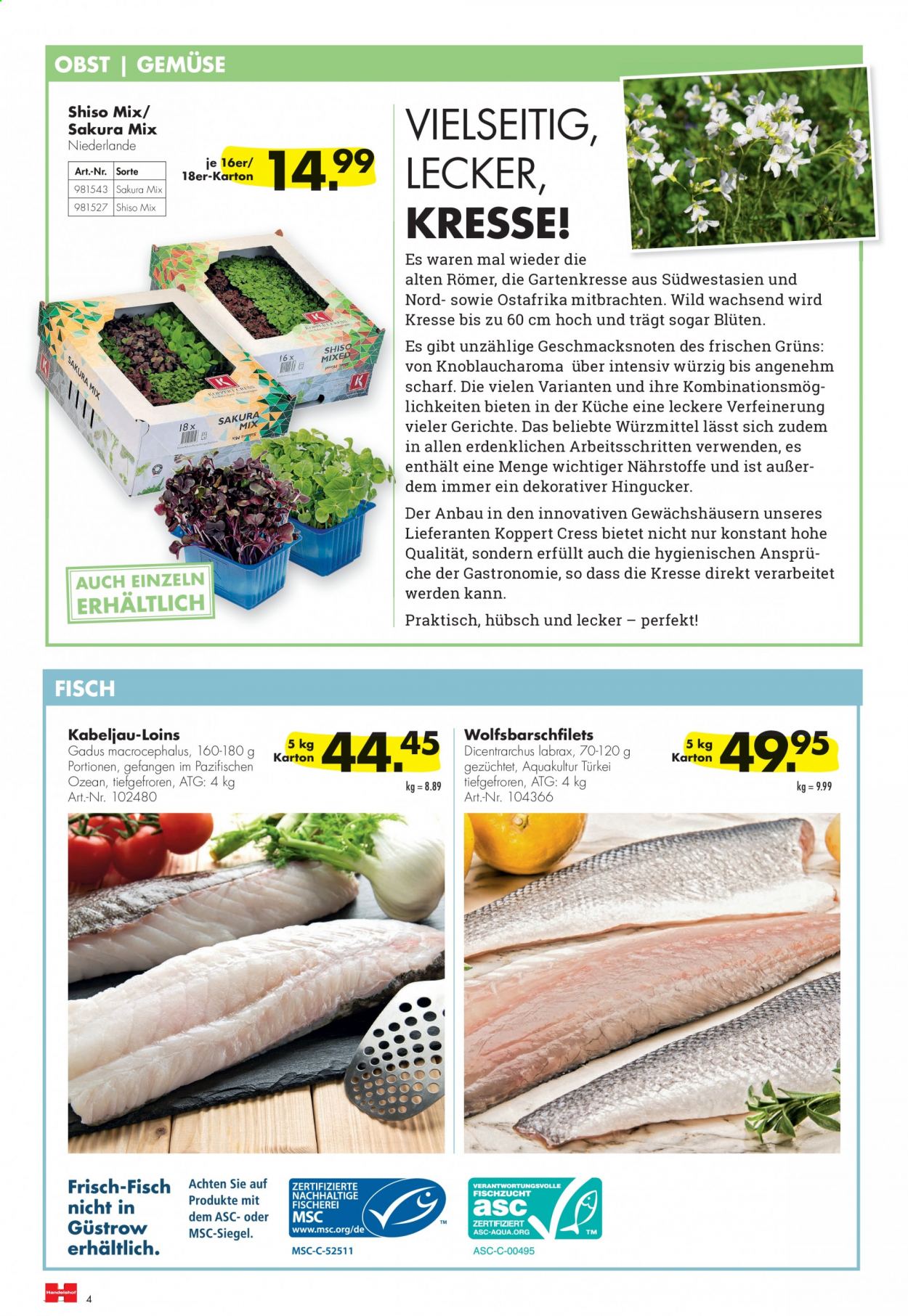 Handelshof Prospekte  - 1.06.2021 - 30.06.2021. Seite 4