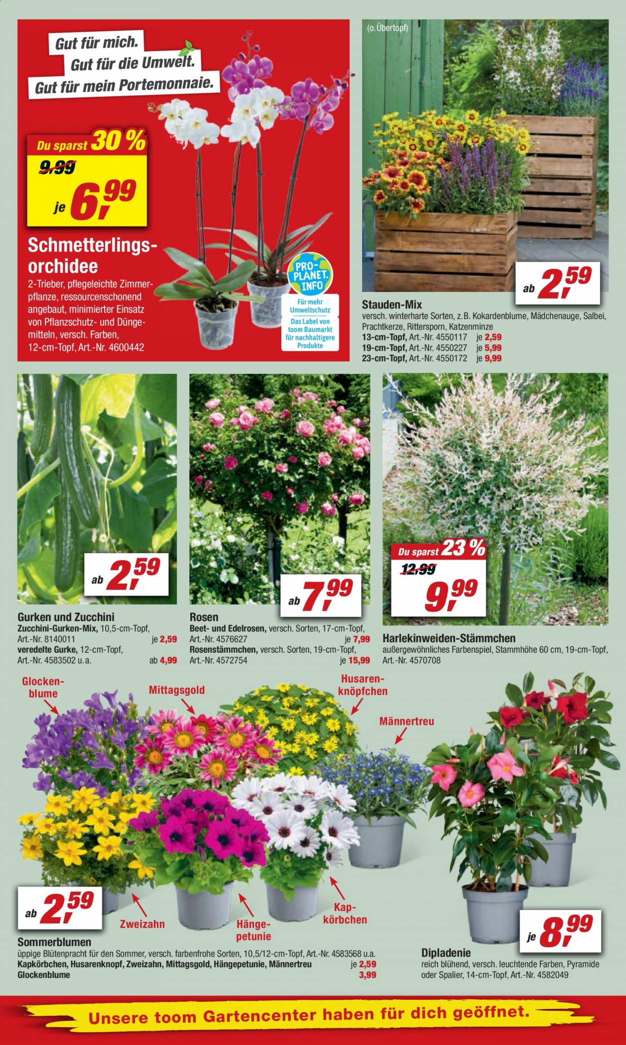 toom Baumarkt Prospekte  - 29.05.2021 - 4.06.2021. Seite 8
