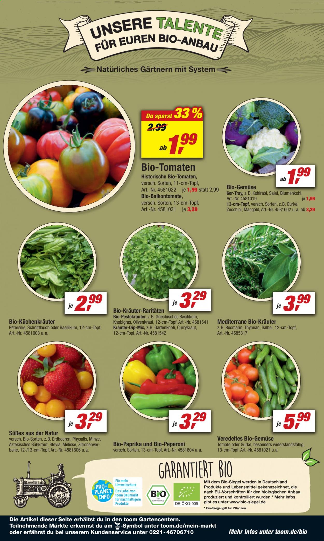 toom Baumarkt Prospekte  - 29.05.2021 - 4.06.2021. Seite 9