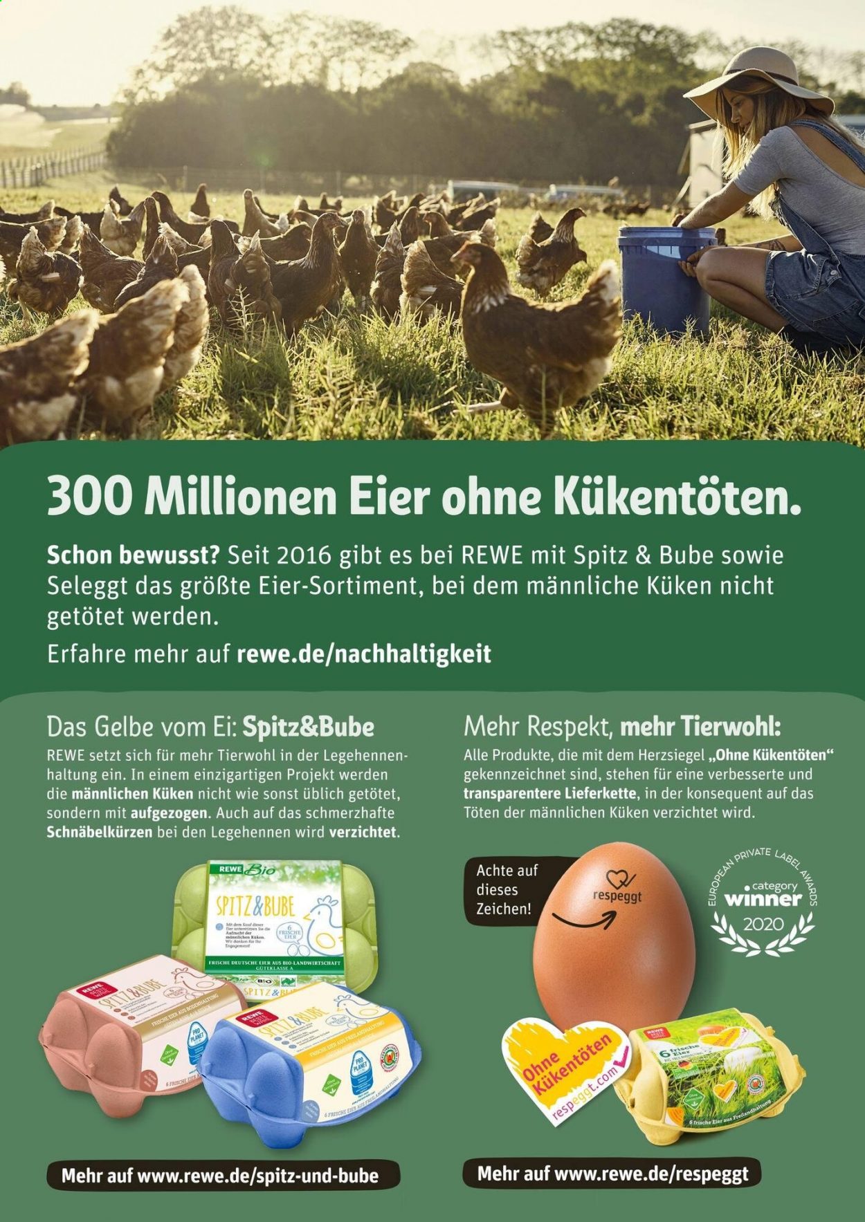 REWE Prospekte  - 31.05.2021 - 5.06.2021. Seite 25