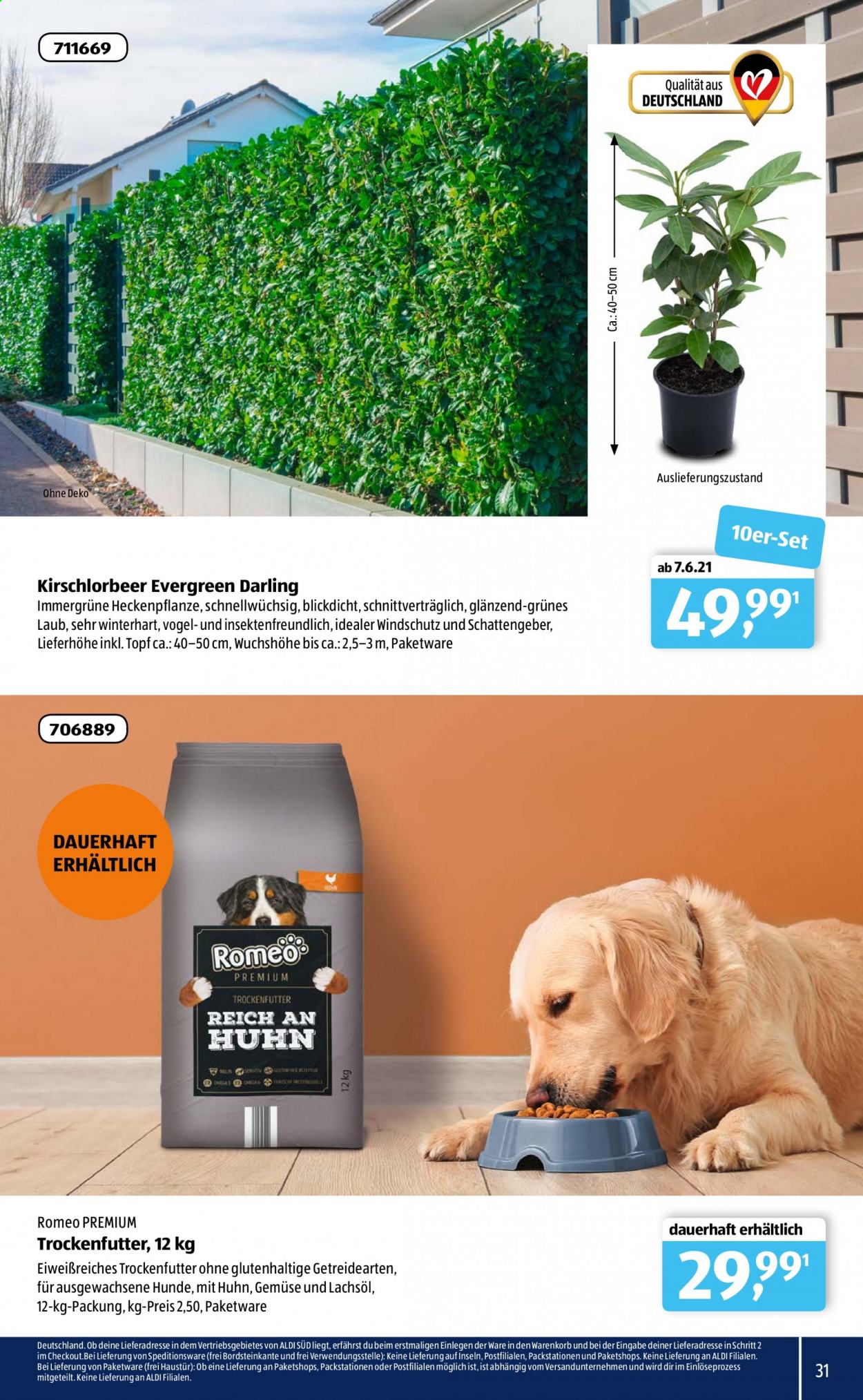 ALDI SÜD Prospekte . Seite 31