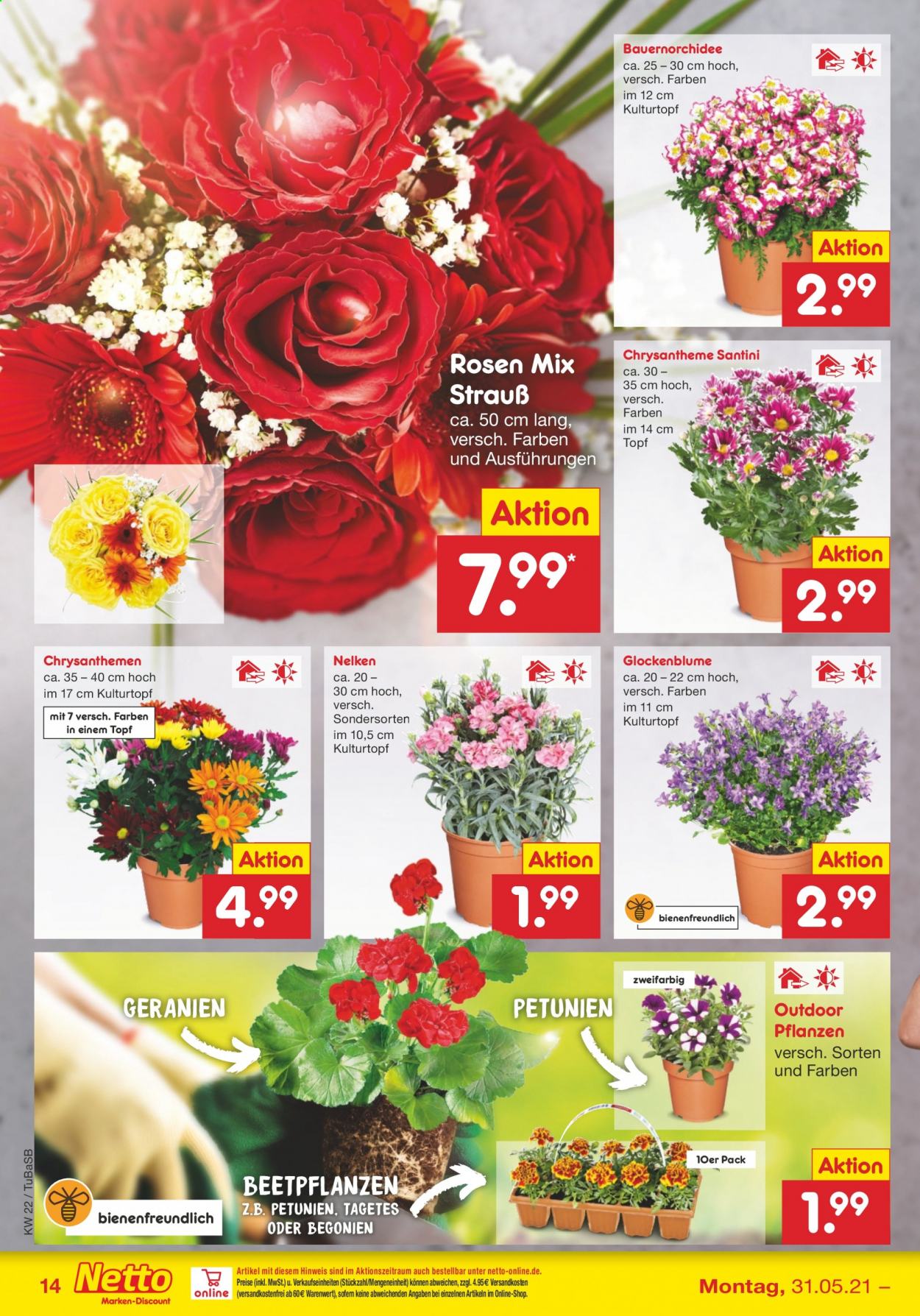 Netto Marken-Discount Prospekte  - 31.05.2021 - 5.06.2021. Seite 14