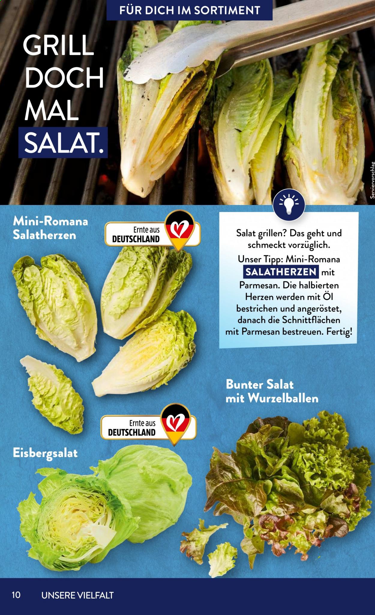 ALDI SÜD Prospekte . Seite 10