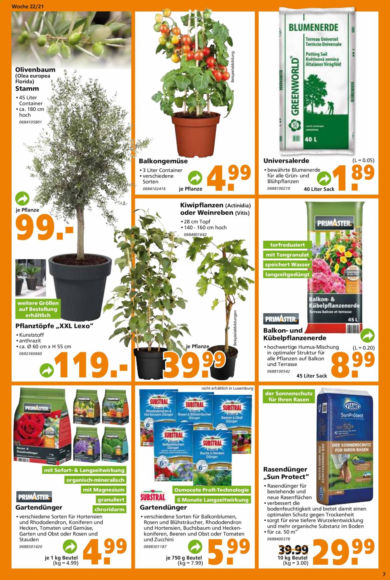 Globus Baumarkt Prospekte  - 1.06.2021 - 8.06.2021. Seite 7