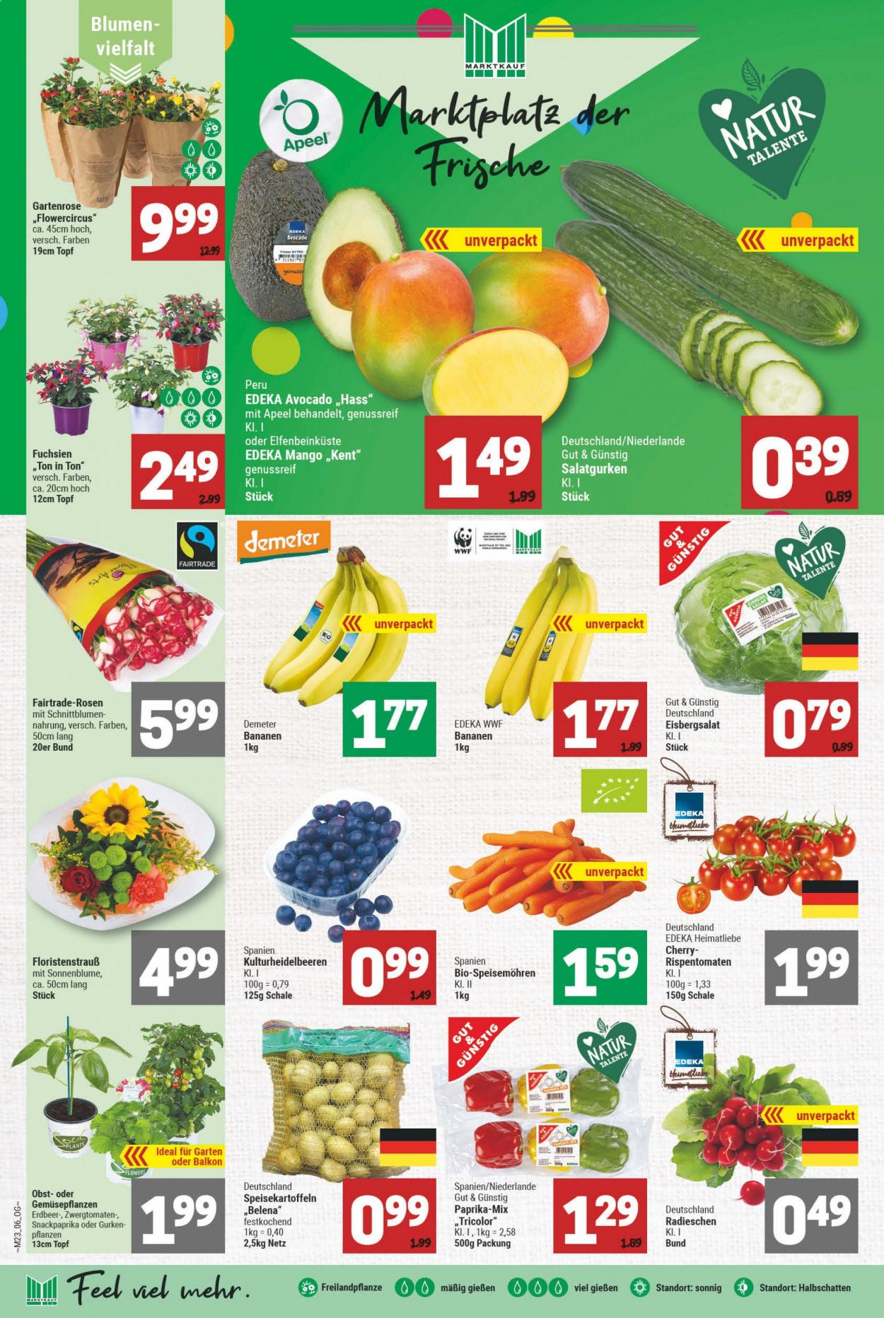 Marktkauf Prospekte  - 7.06.2021 - 12.06.2021. Seite 6